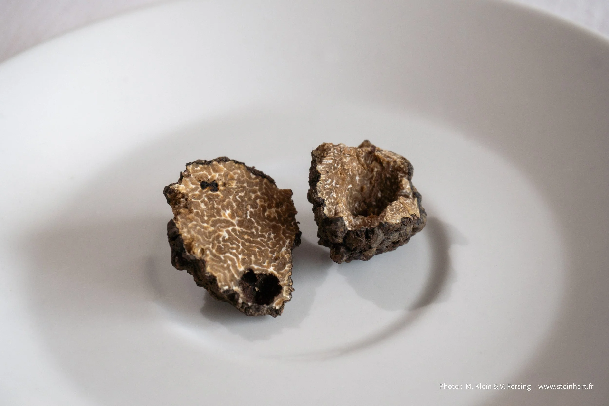 La Truffe du Steinhart : Diamant caché d'un territoire préservé