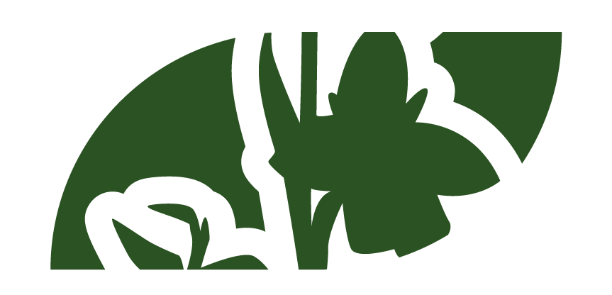 Partie haute du logo Steinhart. Silhouette d'une orchidée avec des feuilles dans une tête verte.