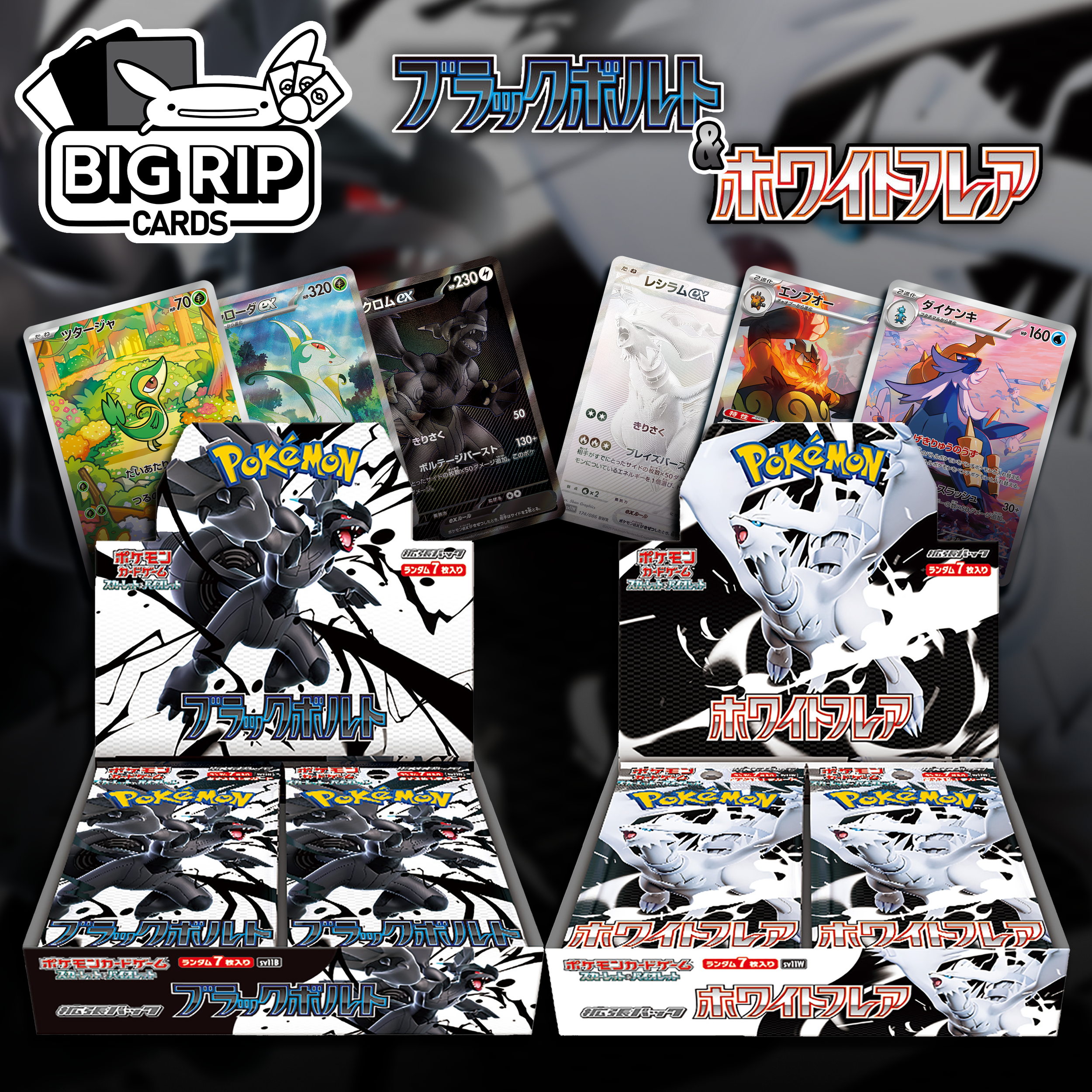 Pokemon Items Img - Black & White BOX.png