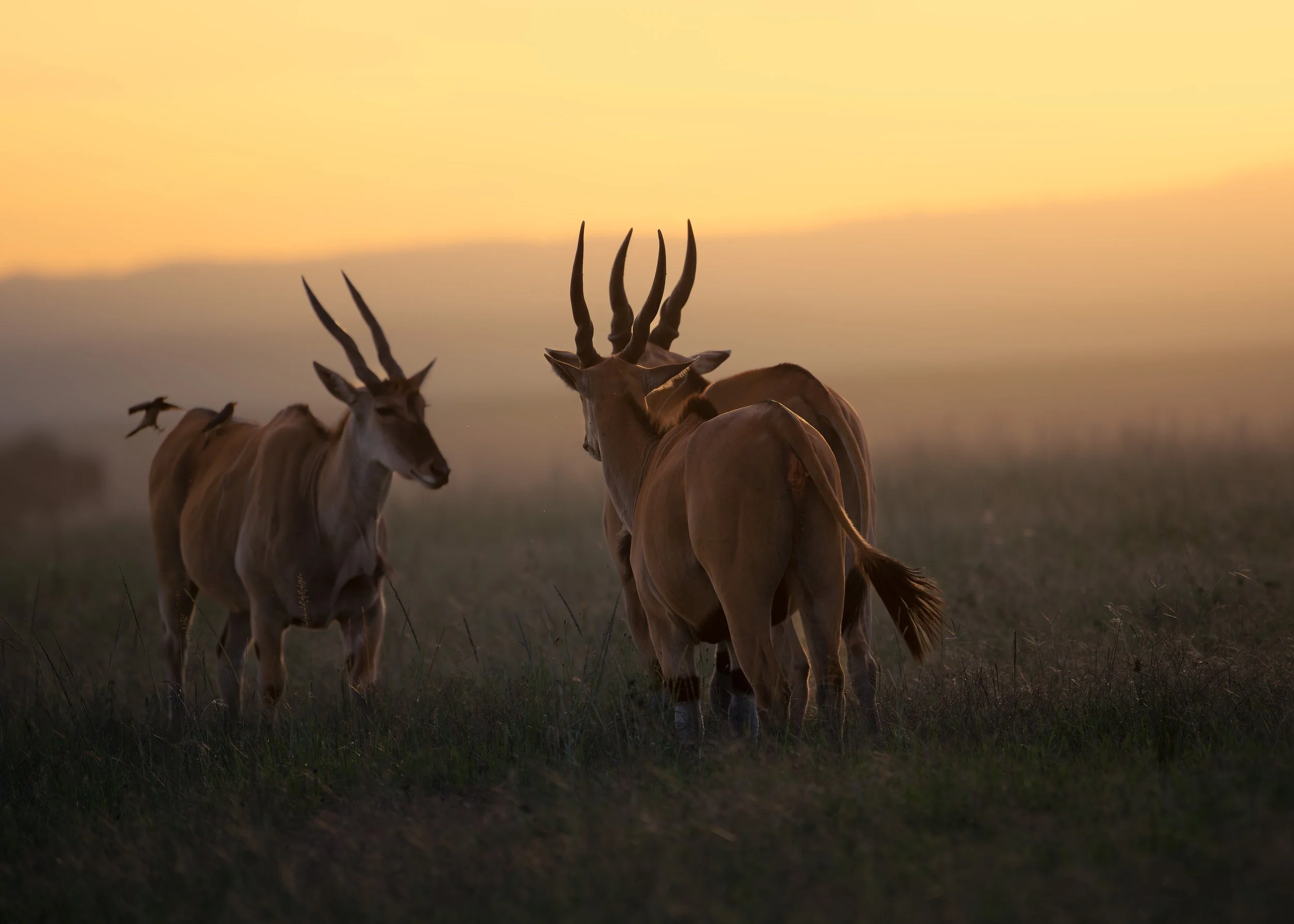 _DSC4820-DxO_DeepPRIME XD2s-2-2.jpg