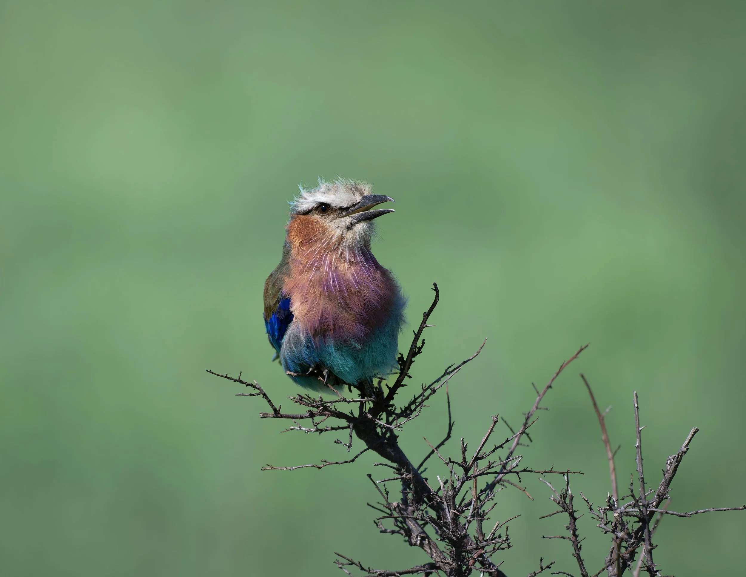 _DSC5376-DxO_DeepPRIME XD2s.jpg