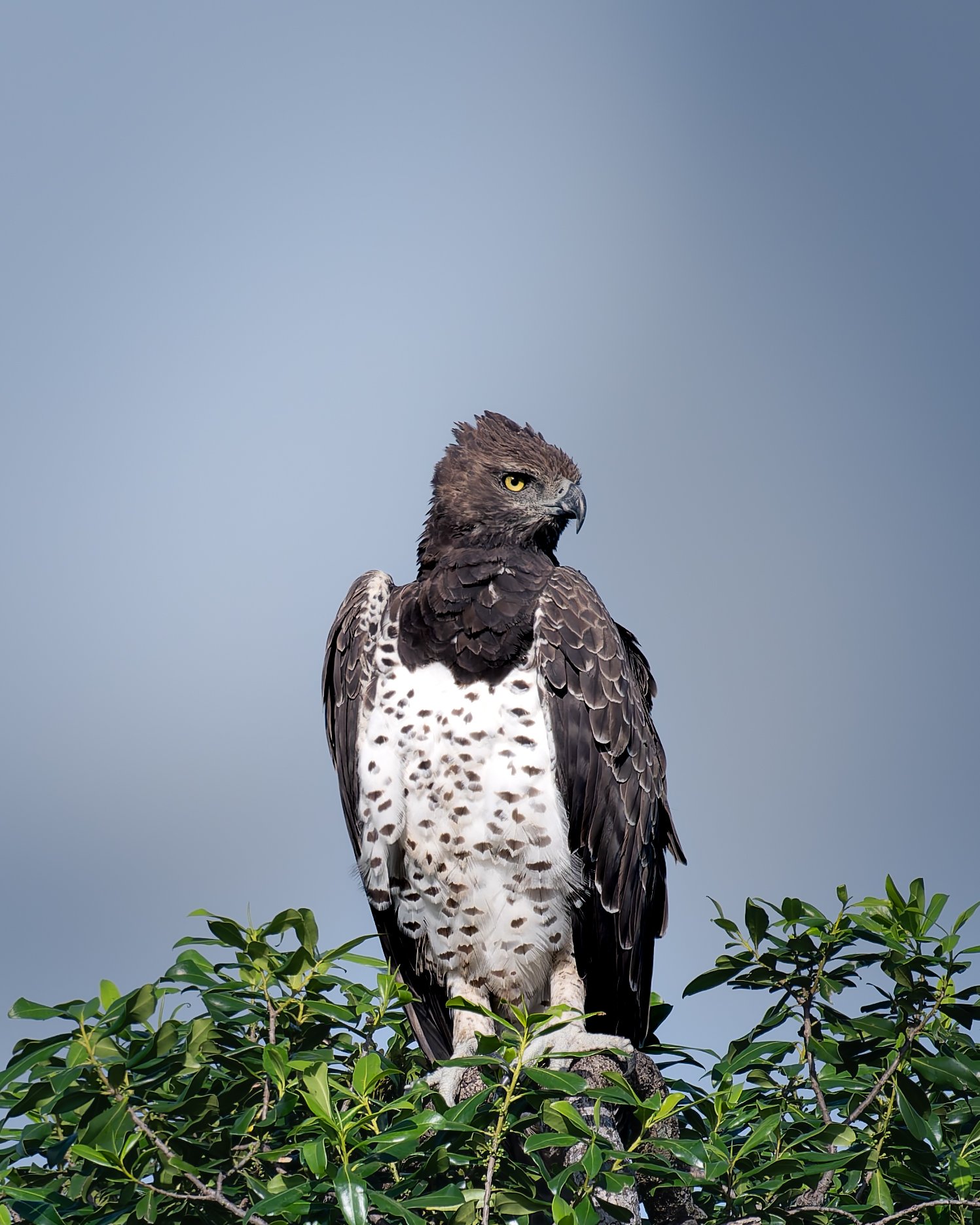 _DSC5349-DxO_DeepPRIME XD2s.jpg