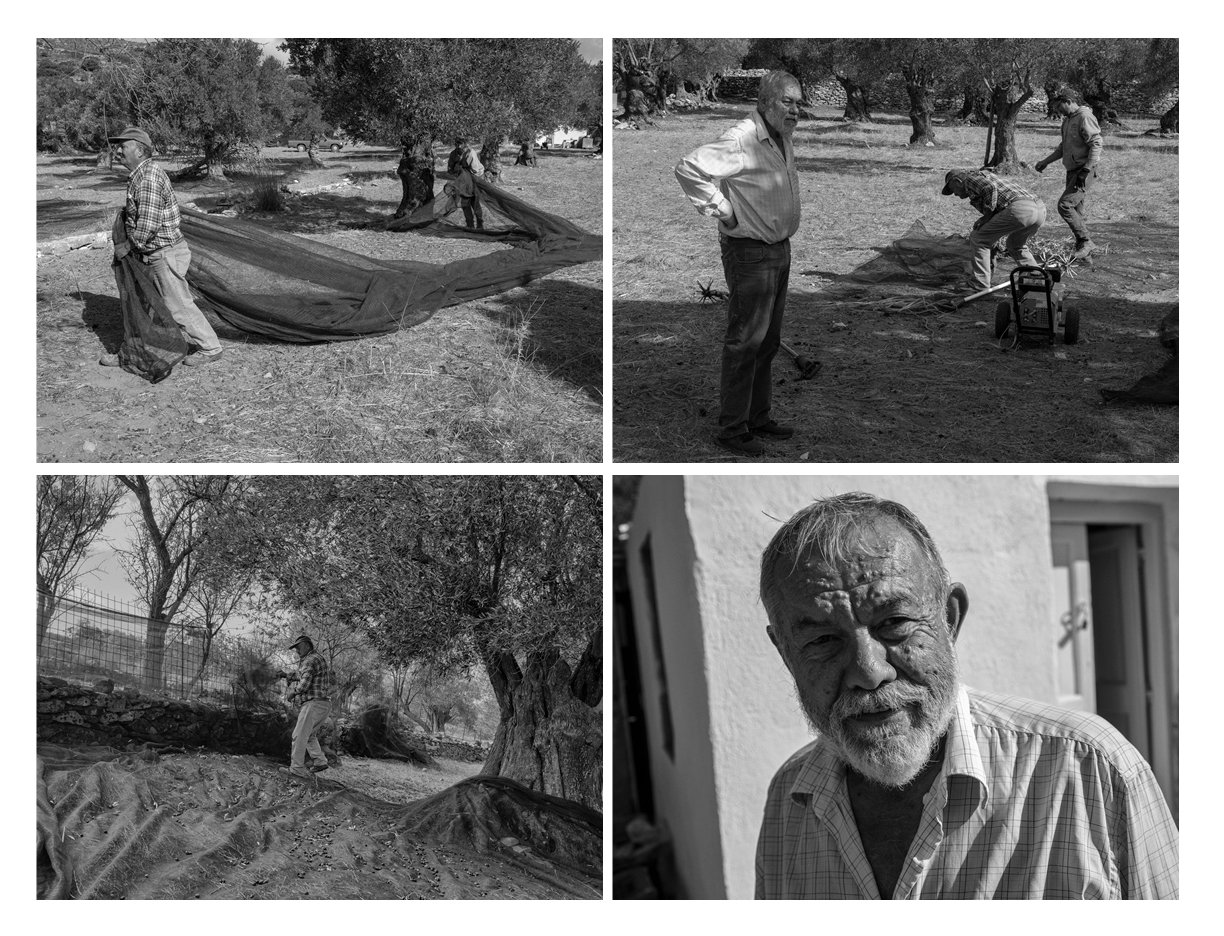 Images 13-16 -- 9 x 12 each, sold as a set $1,200 (F) and $800 (UF)