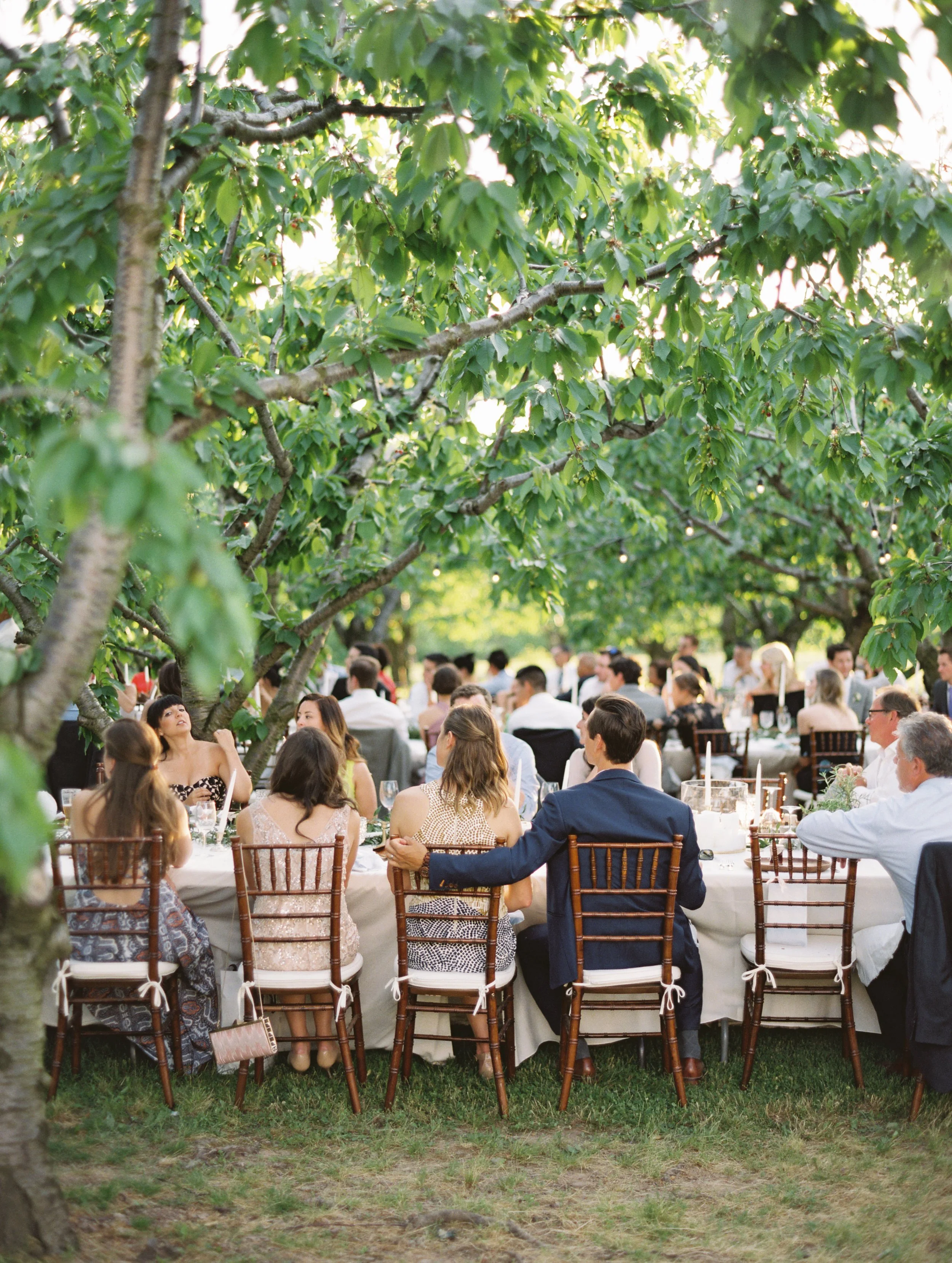 550-fine-art-film-photographer-niagara-on-the-lake-toronto-destination-wedding-brumley-wells-nick-nat.jpg