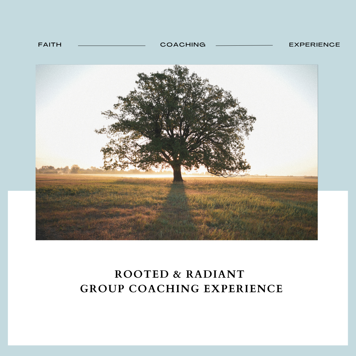 Rooted & Radiant Group Coaching Experience