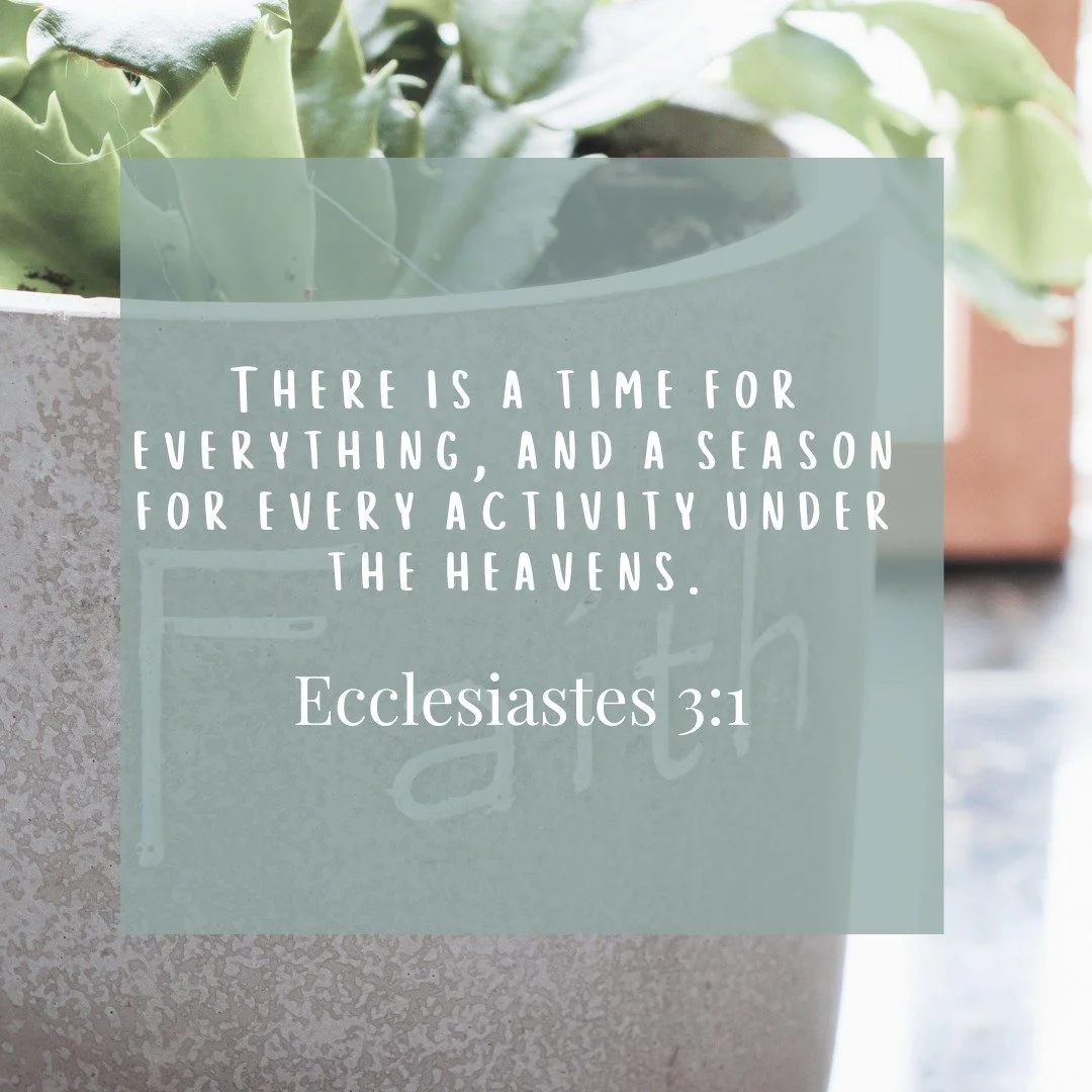 Midlife can feel like a strange in-between -- too late to start over, too early to settle in. But Ecclesiastes reminds us...God is the keeper of time. 

He doesn't waste a single moment, and your current season is not a detour. It's part of His desig