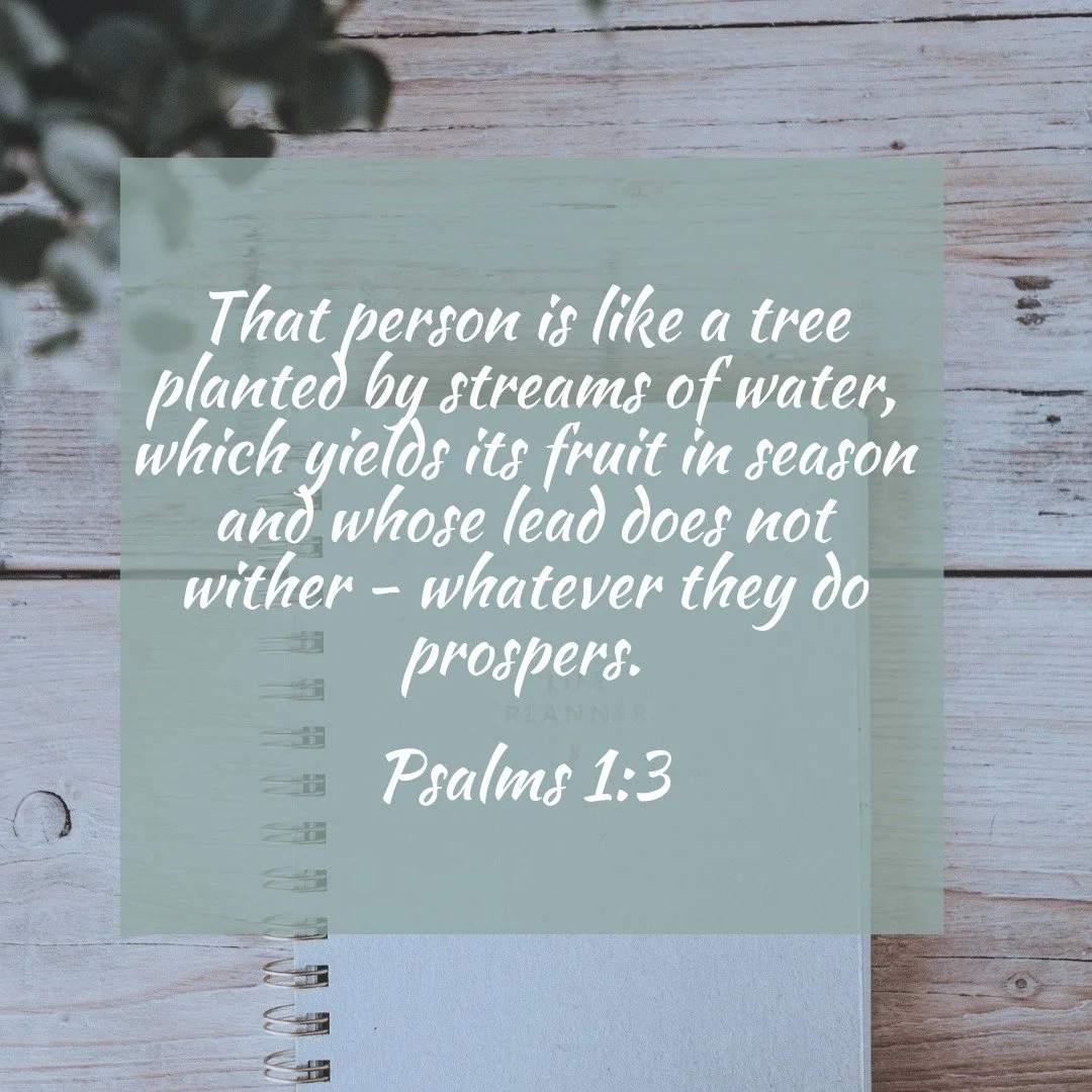 When you're rooted in God's Word, you don&rsquo;t have to keep striving for worth or stress out about the direction of your next steps. You can stand steady, nourished, and unshaken in any season.

The secret sauce to feeling rooted? Becoming like th