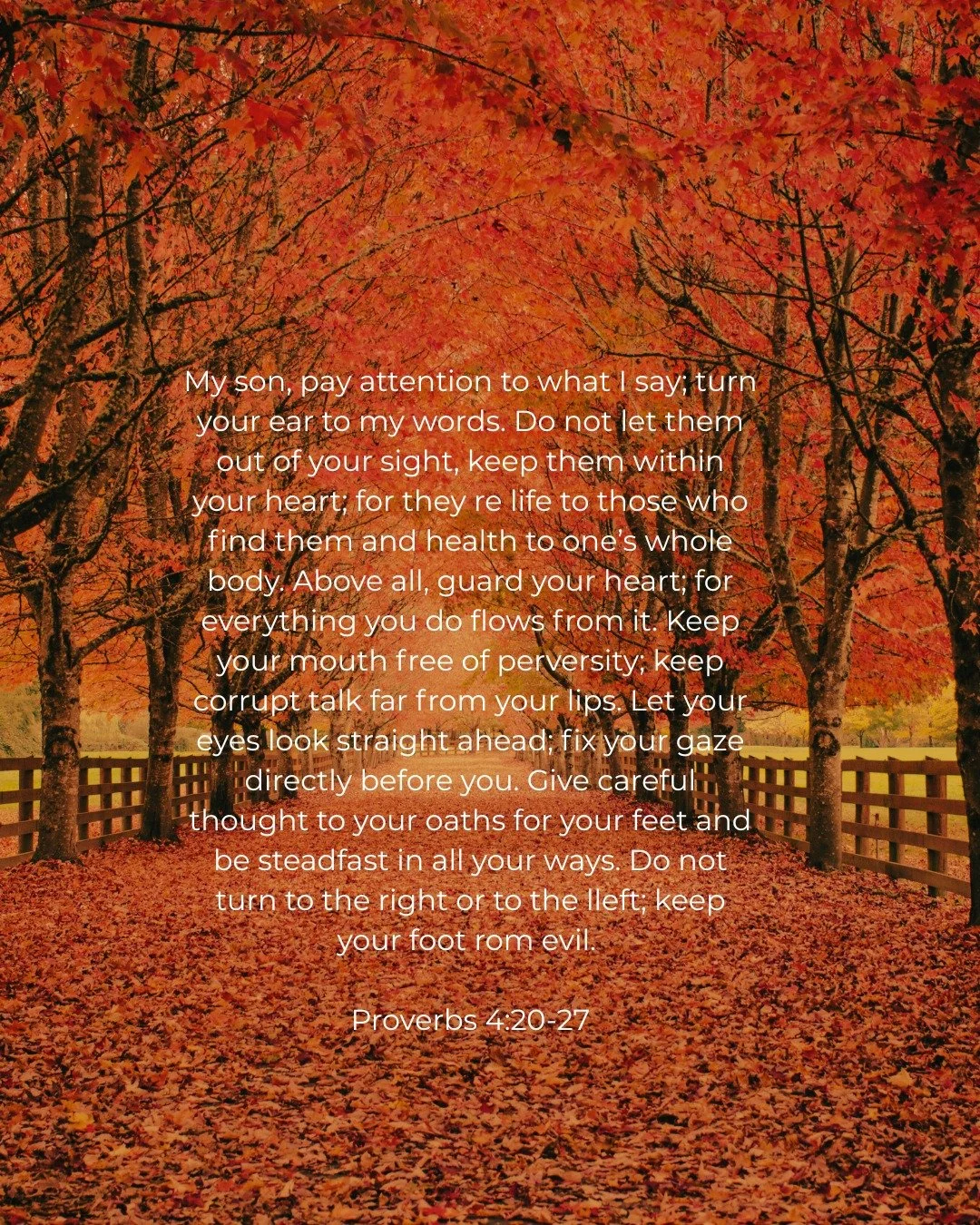 This week in Rooted &amp; Radiant, we're studying Proverbs 4:20&ndash;27 which is a powerful reminder that our heart is where everything flows from.

&ldquo;Above all else, guard your heart, for everything you do flows from it.&rdquo;

In a world tha