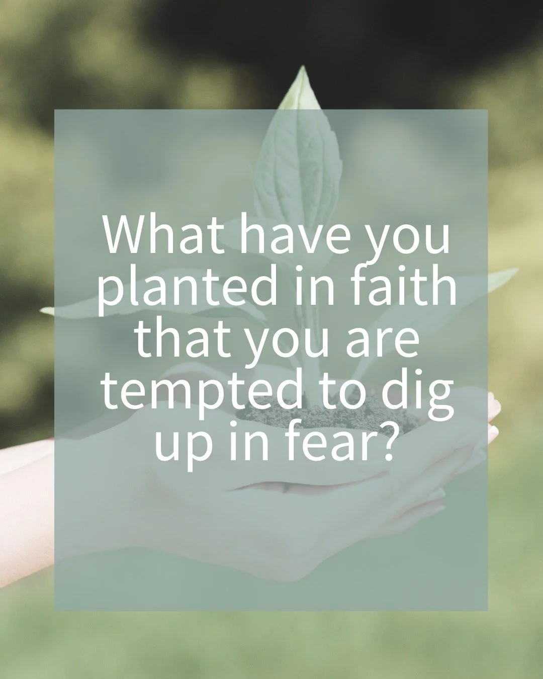 True confession. I can sometimes be the biggest obstacle to living on mission and walking in courageous faith.  Mostly because I am tempted to dig up in fear what I've already planted in faith. If that's you too...you're in the right place. Let's enc