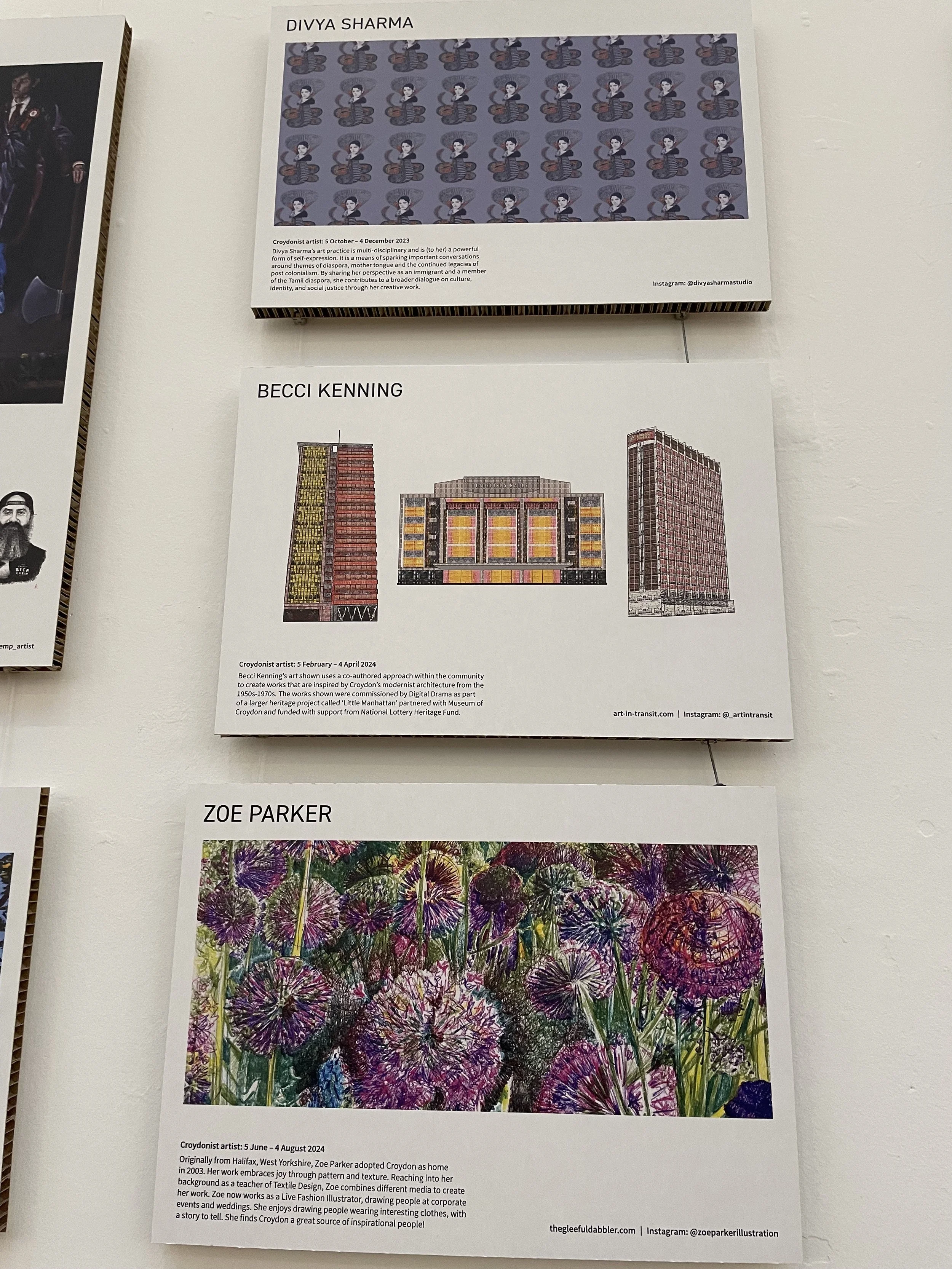 Artist work and  Alliums illustration by Zoe Parker Illustration at Croydonist Private View.JPEG
