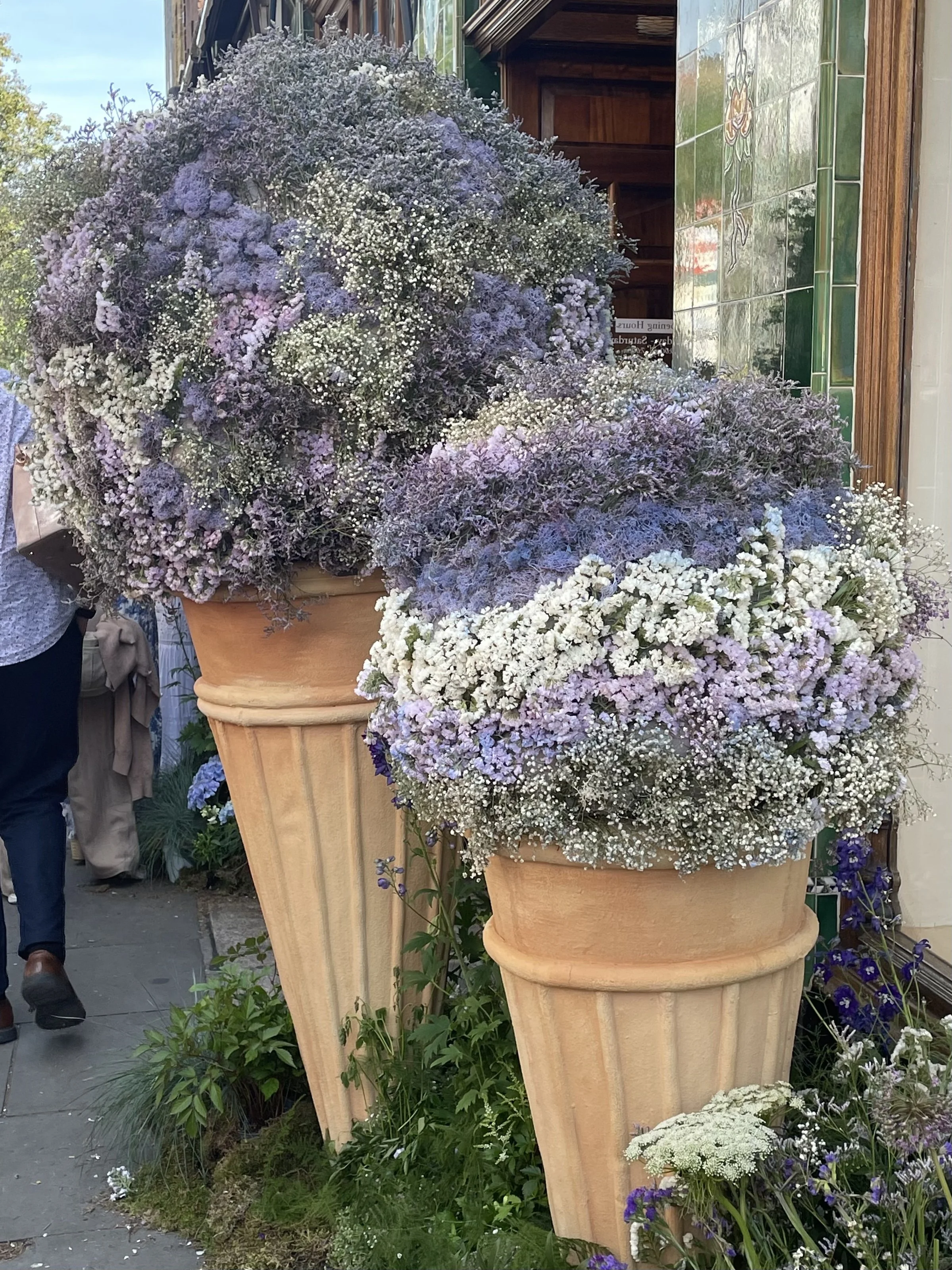 IMG_7953(1).JPEG