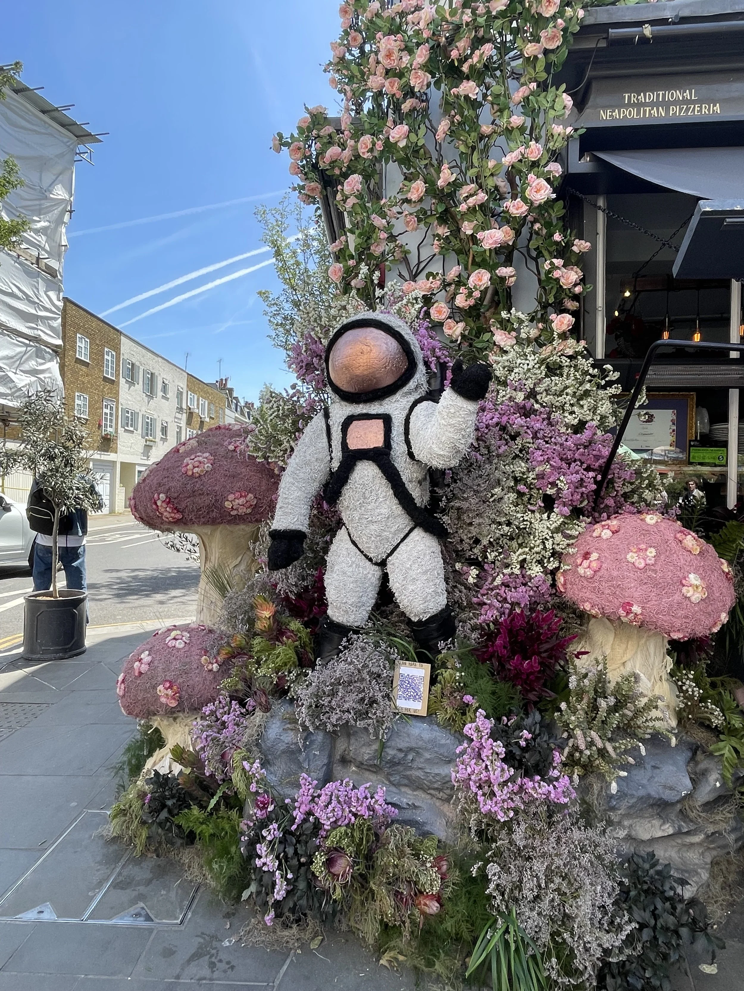 IMG_7965(1).JPEG