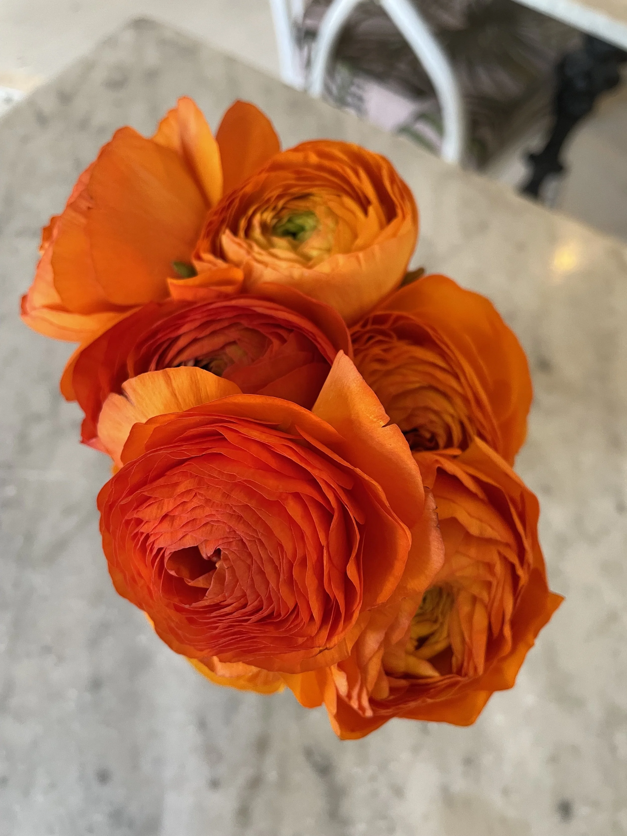 Floral posy of orange ranuncular flowers in a vase on a table for a wedding reception at the Bourne and Hollingsworth Building. Photo by Zoe Parker Illustration.