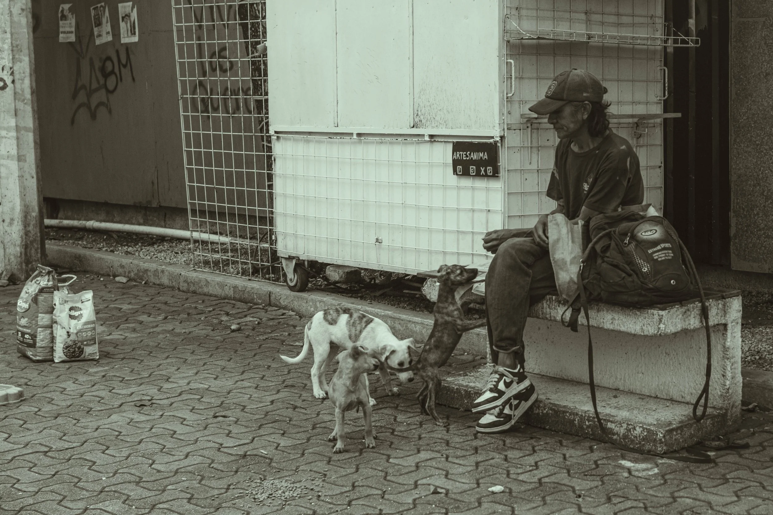 DSCF4166.jpg