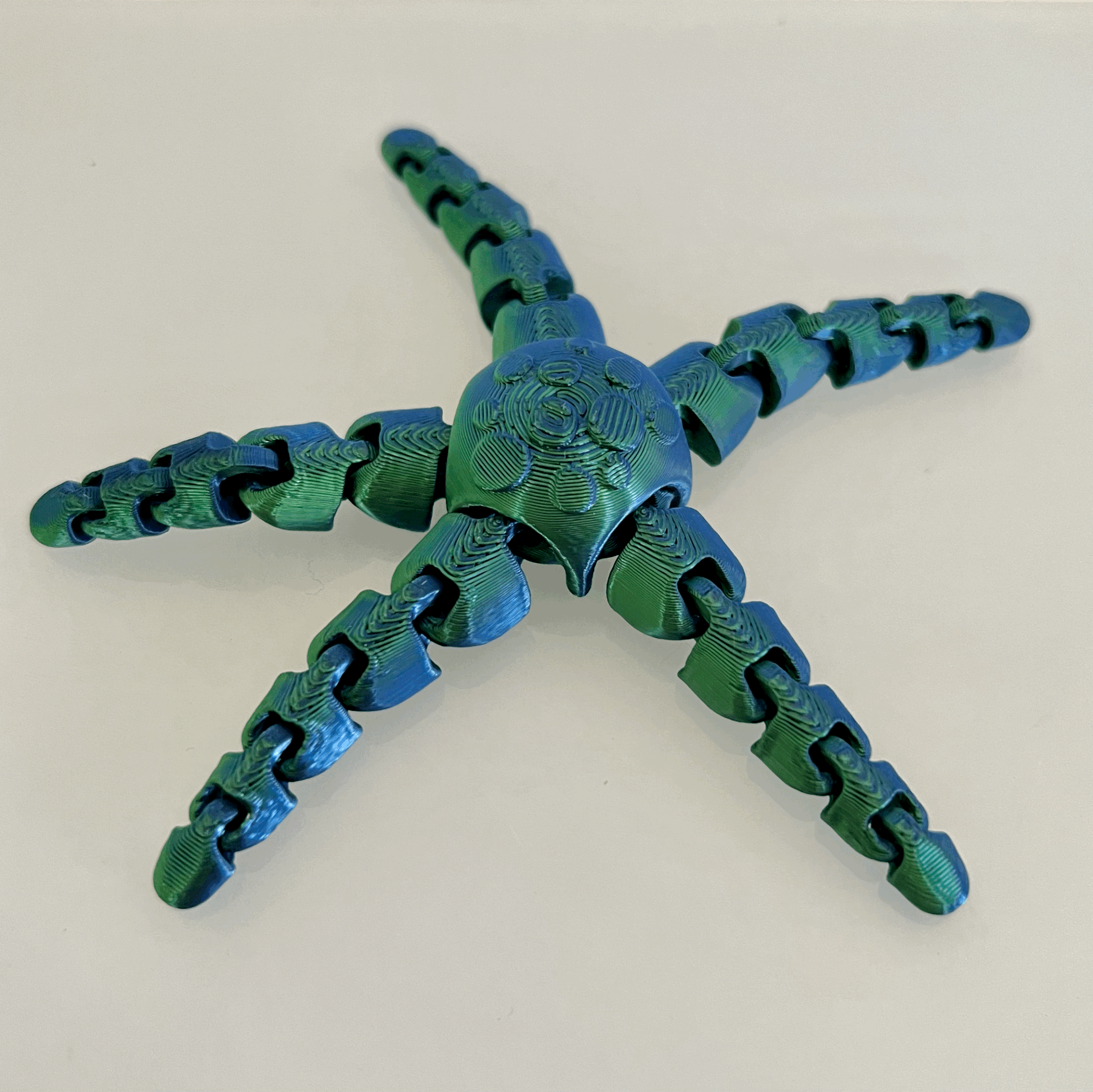 STARFISH  - 'HOKU KAI'