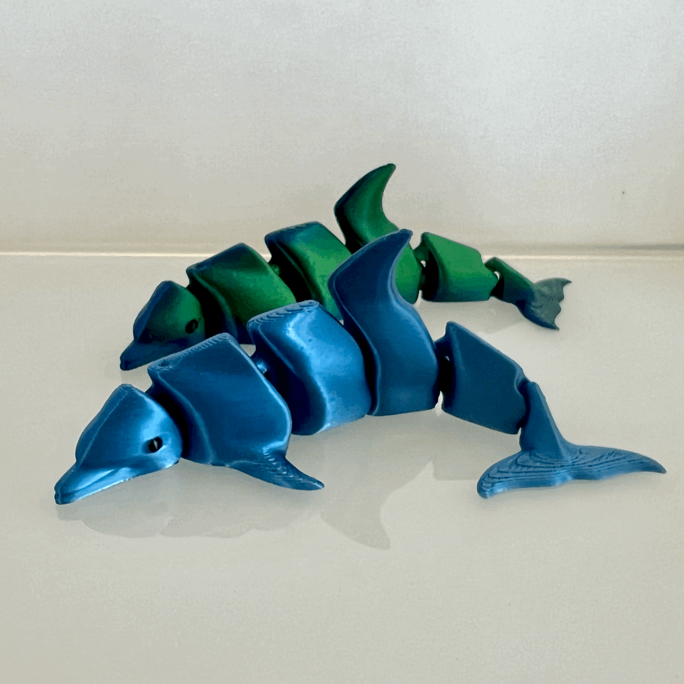 DOLPHIN CALF - 'NAI'A'