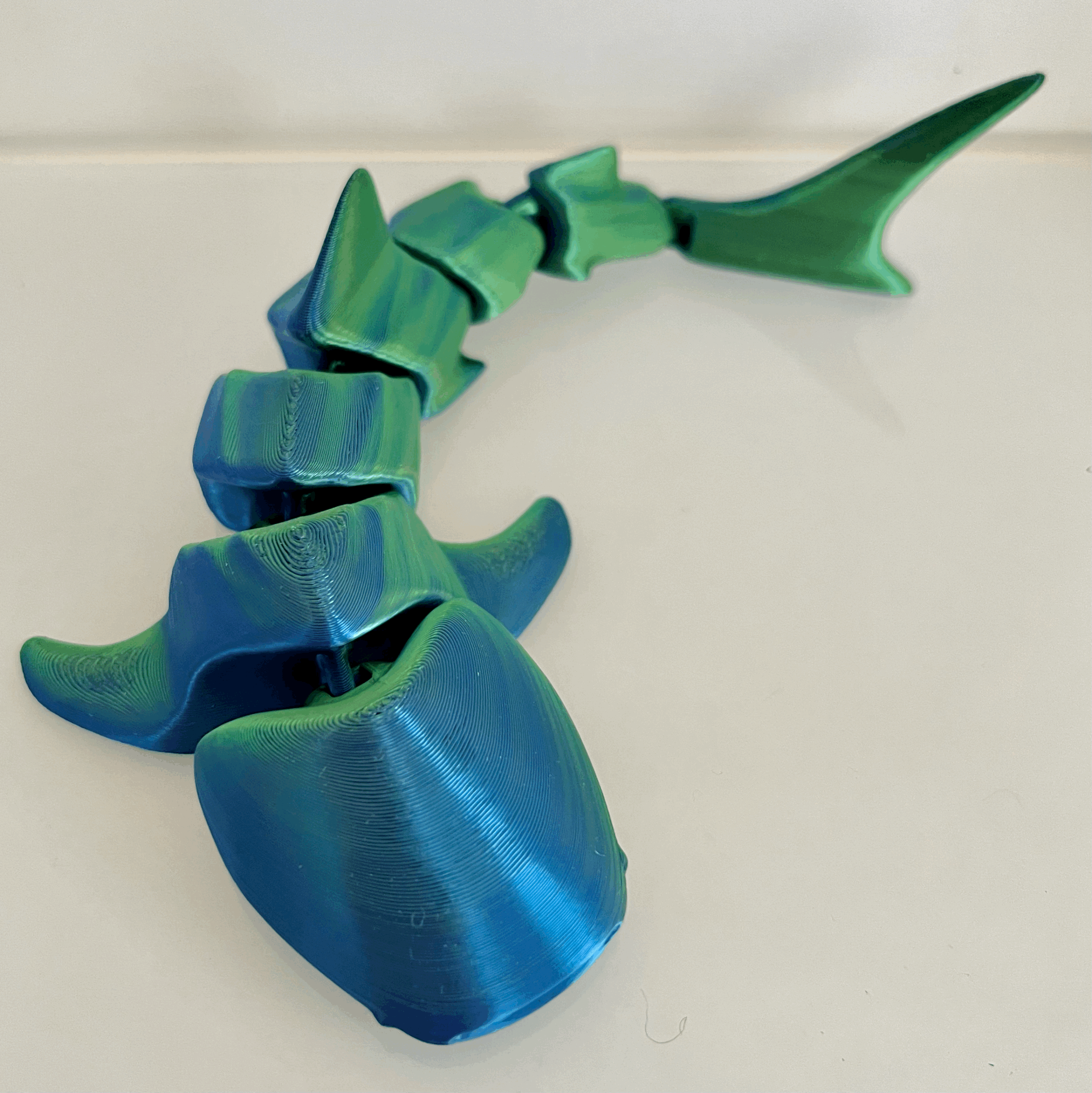 WHALESHARK PUP - 'LELE WA'A'