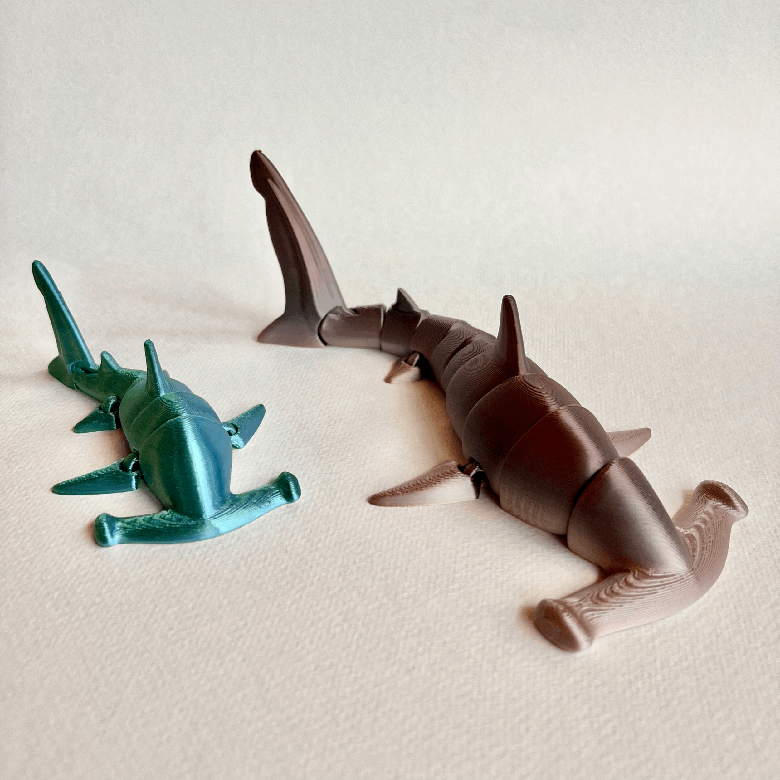 HAMMERHEAD SHARK ADULT & PUP - 'MANO KIHIKIHI'