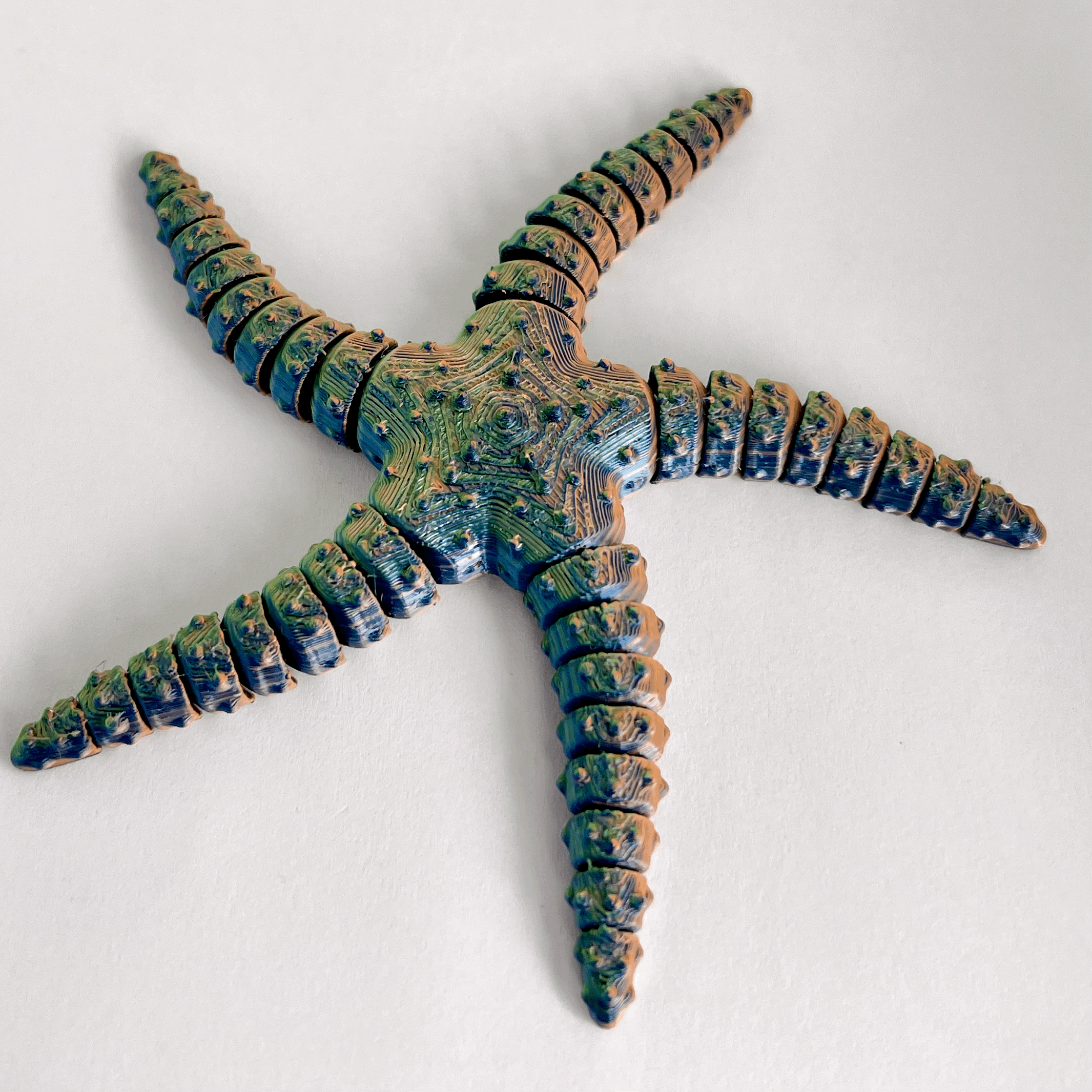 STARFISH  - 'HOKU KAI'