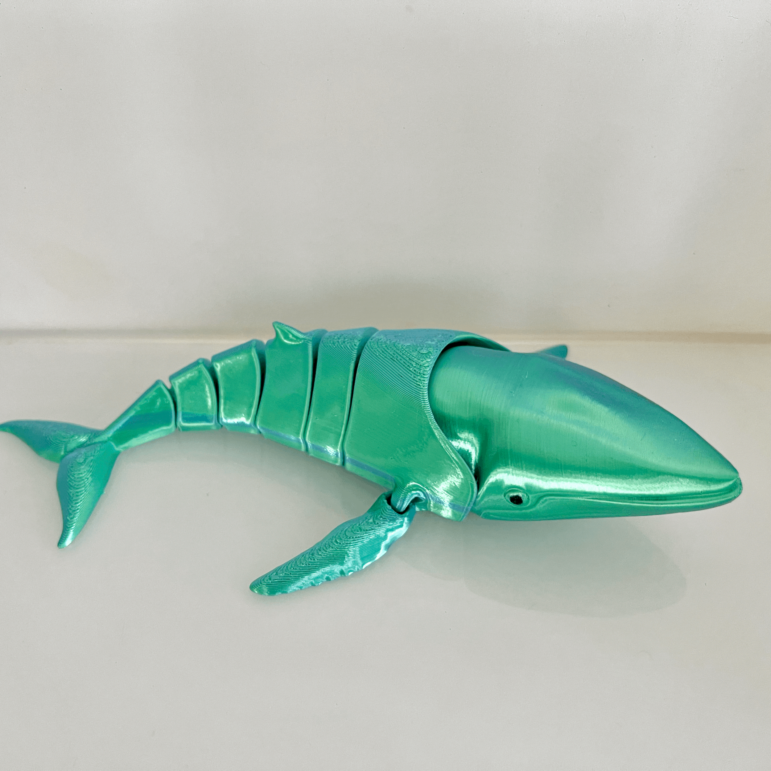 HUMPBACK WHALE CALF - 'KOHOLA'