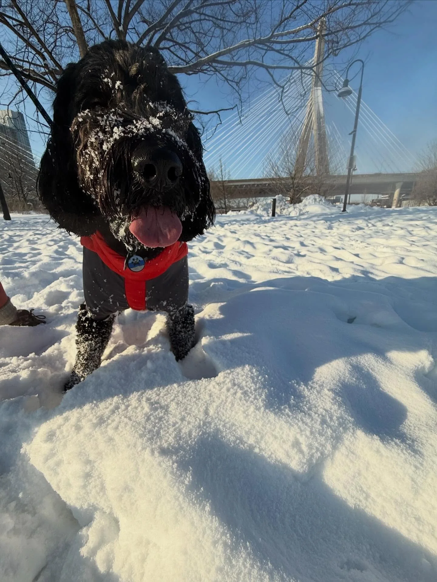 Happy Wednesday! Have you thought about your financial priorities lately? If you haven&rsquo;t, I suggest you start with thinking about what brings you joy. You&rsquo;d be surprised what happens when you put pen to paper or speak these things out lou