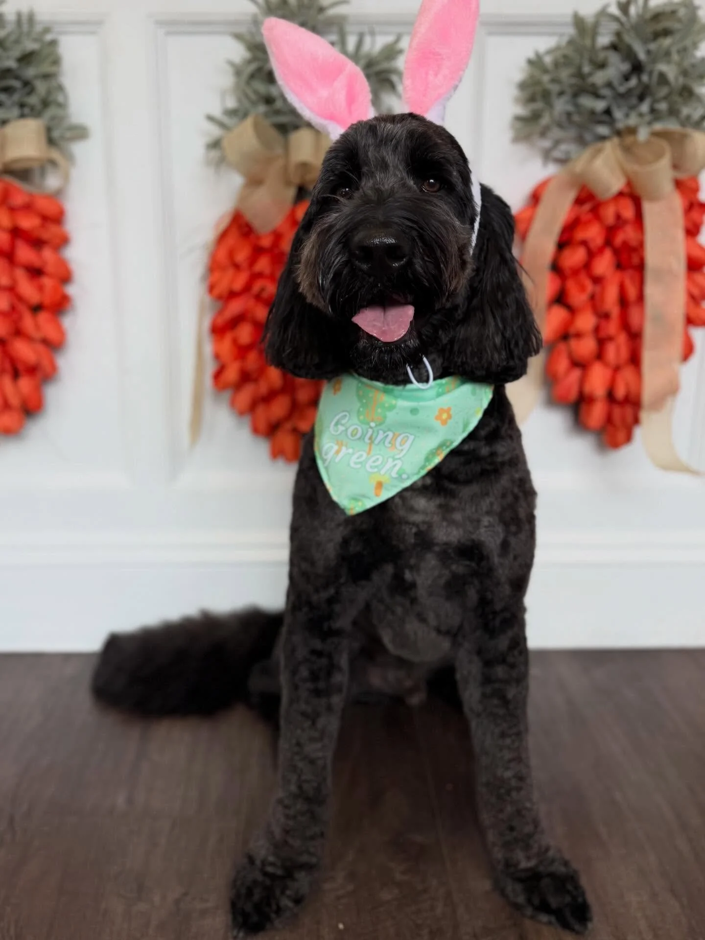 Happy Sunday! Happy Easter! 🐣🐇