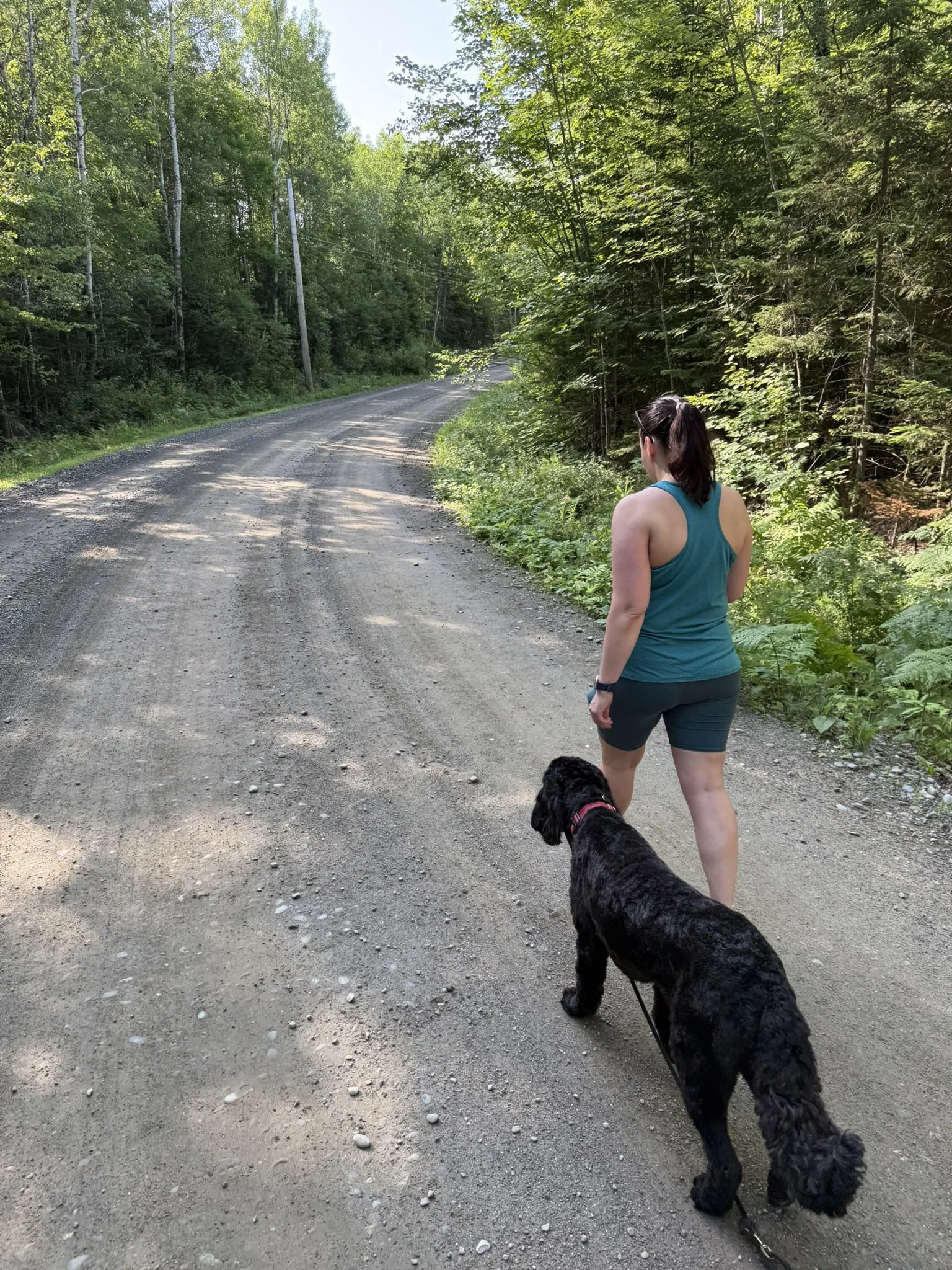 Michaele taking our dog Ollie on a hike on a dirt road