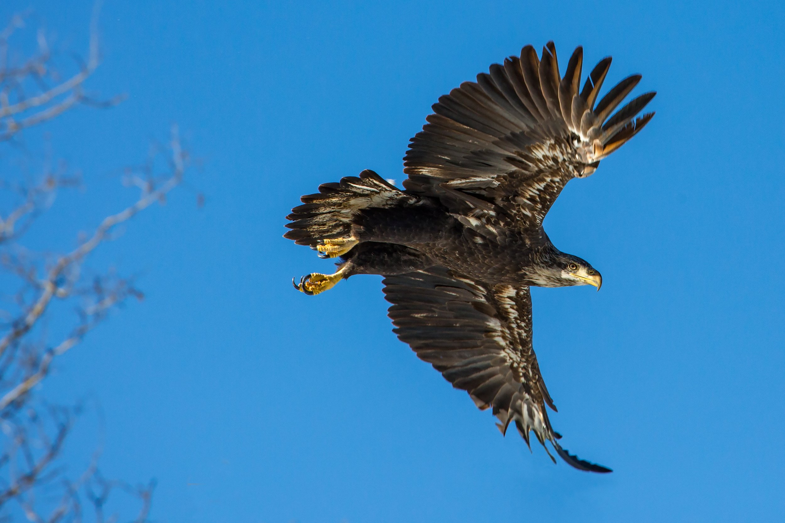 1S6A6575-Edit.jpg