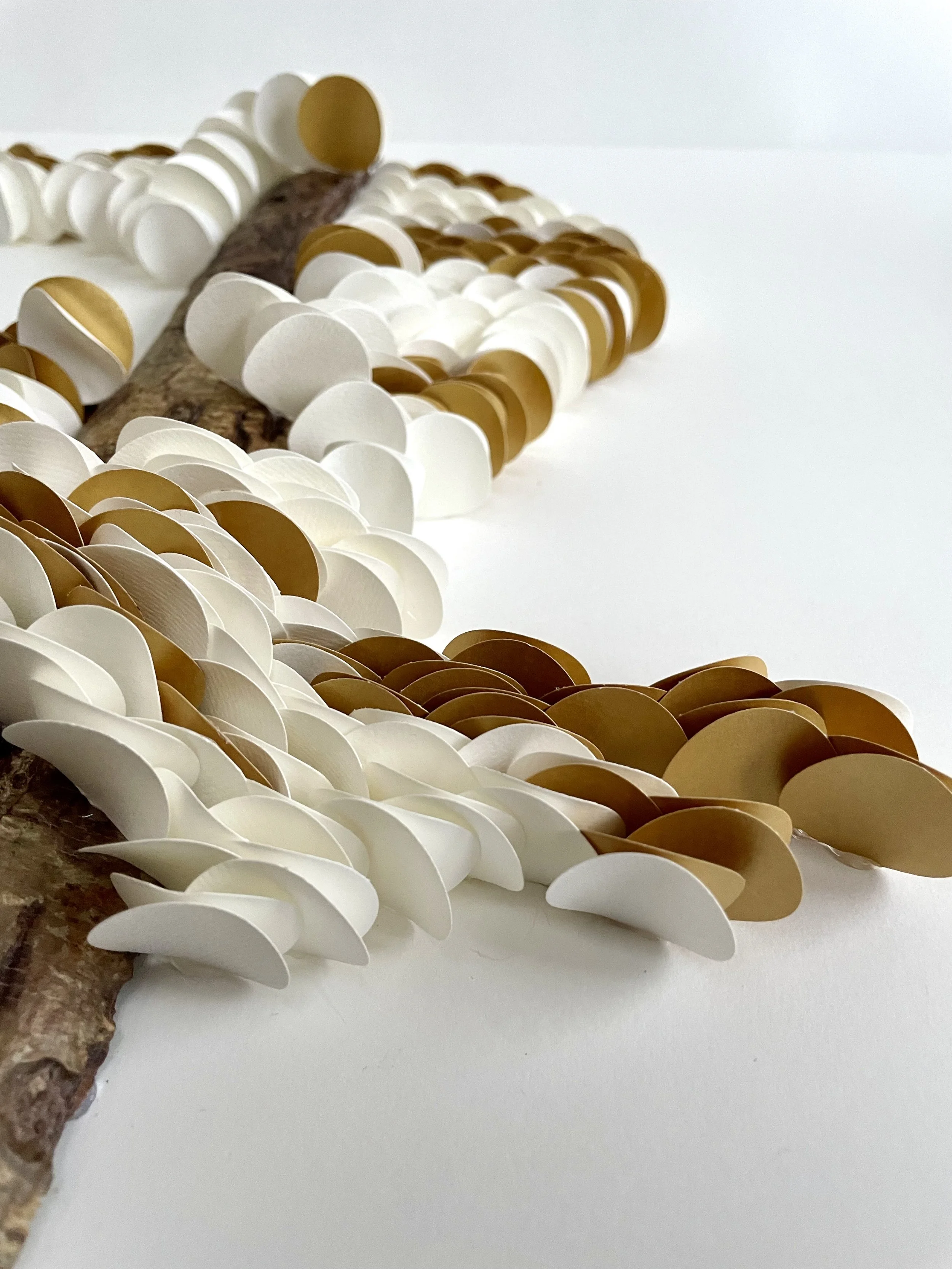 Entangled Fibre_3.jpg