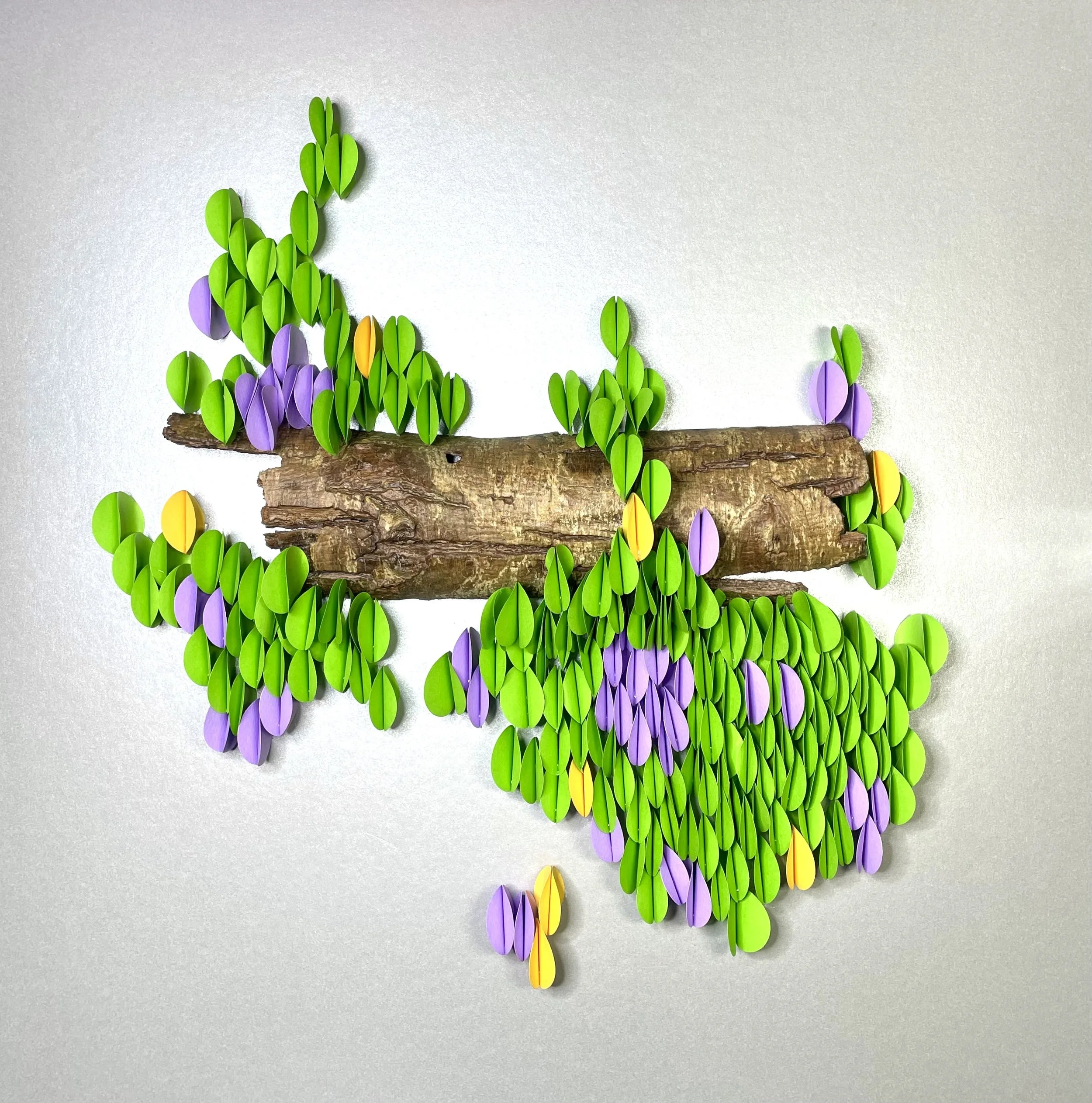 Spring