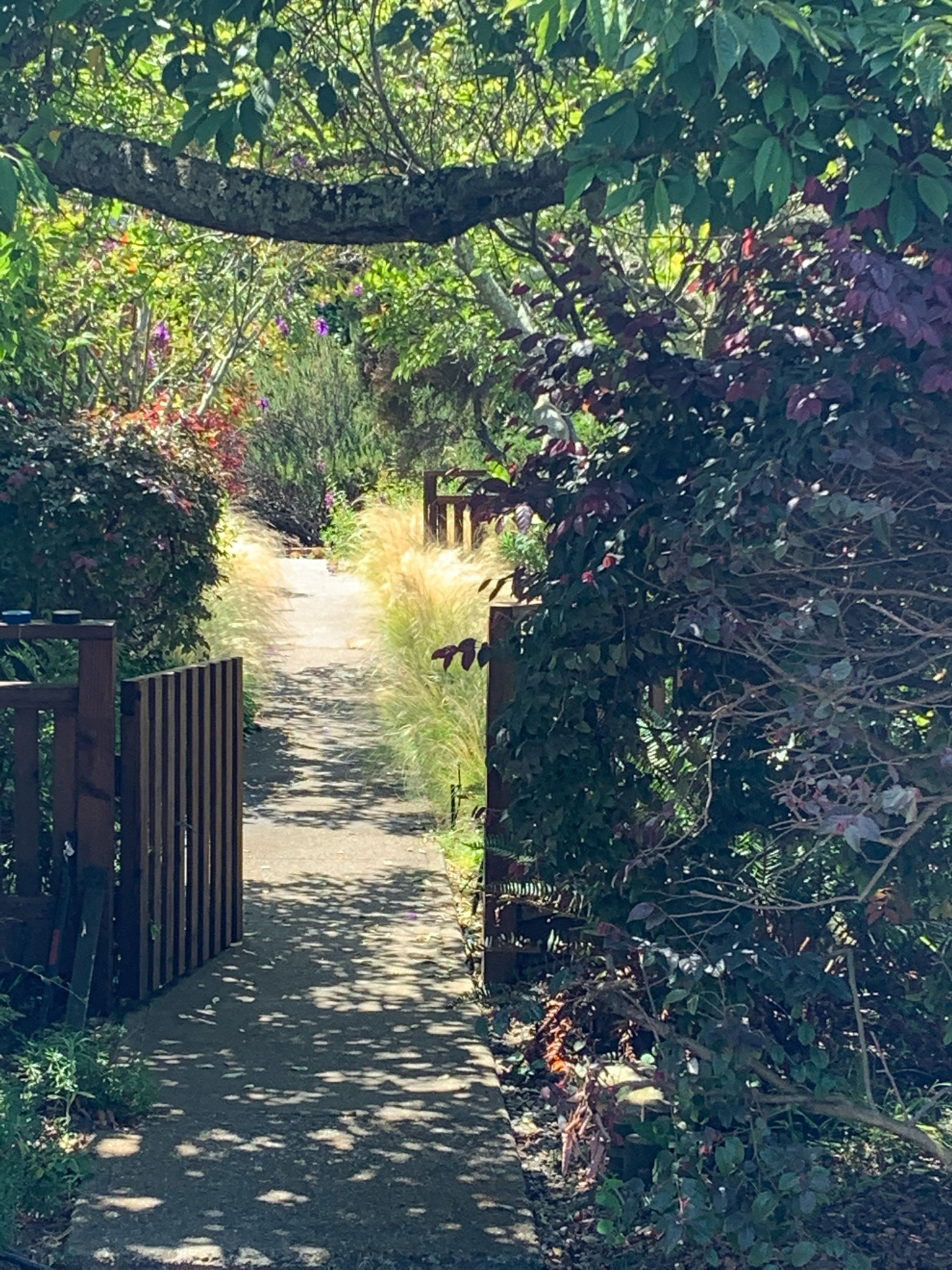 urban path.png