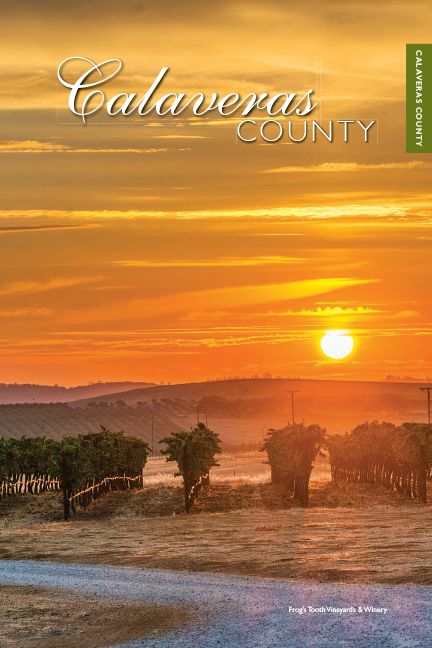 WINERIES_2ndEd_FINAL_LOW 29.png