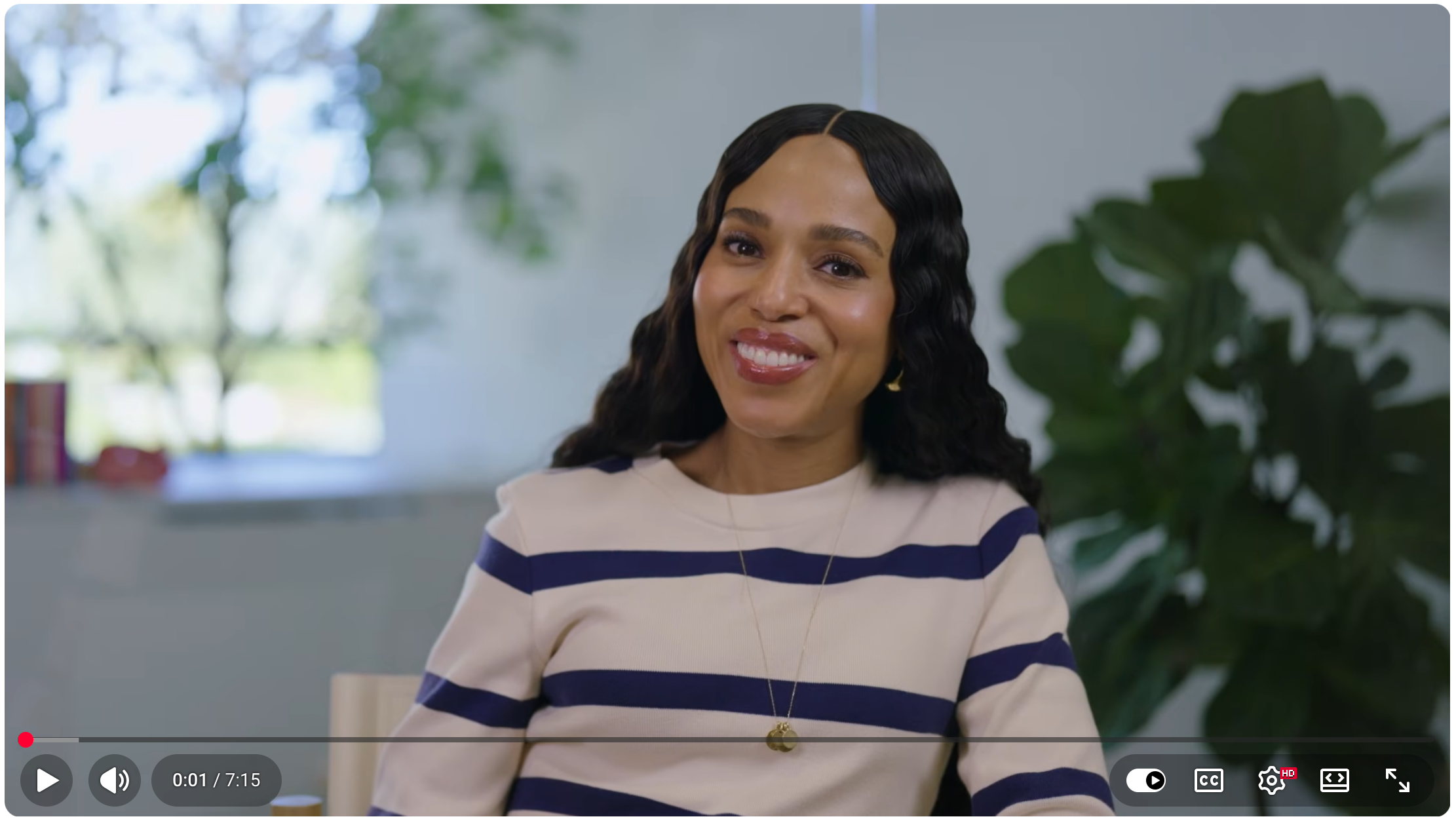 Amerciares nonprofit event video