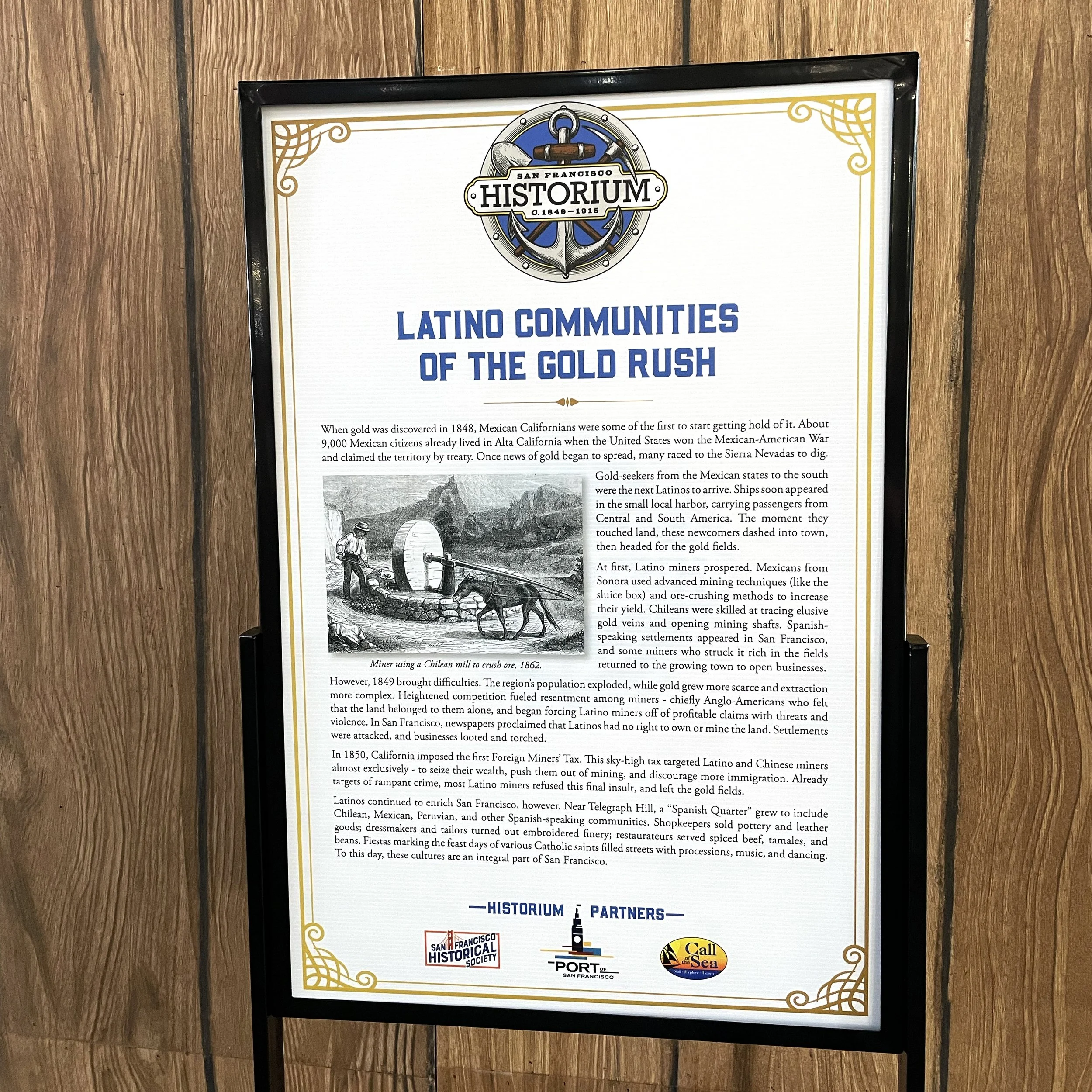 Information board about Latino communities during the Gold Rush at San Francisco Historic Museum, with a black frame and wood-paneled wall background.