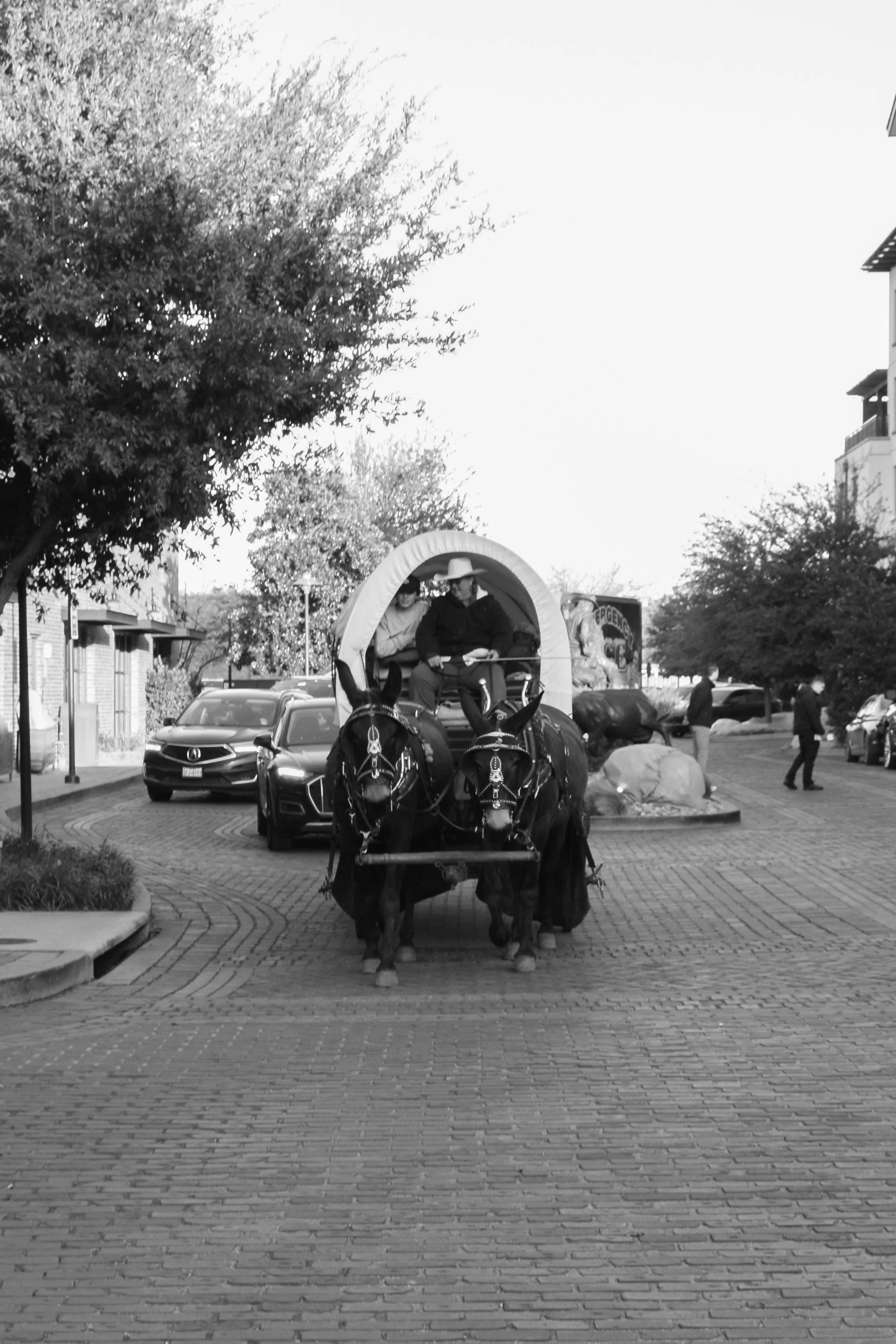 VID_0786.jpg
