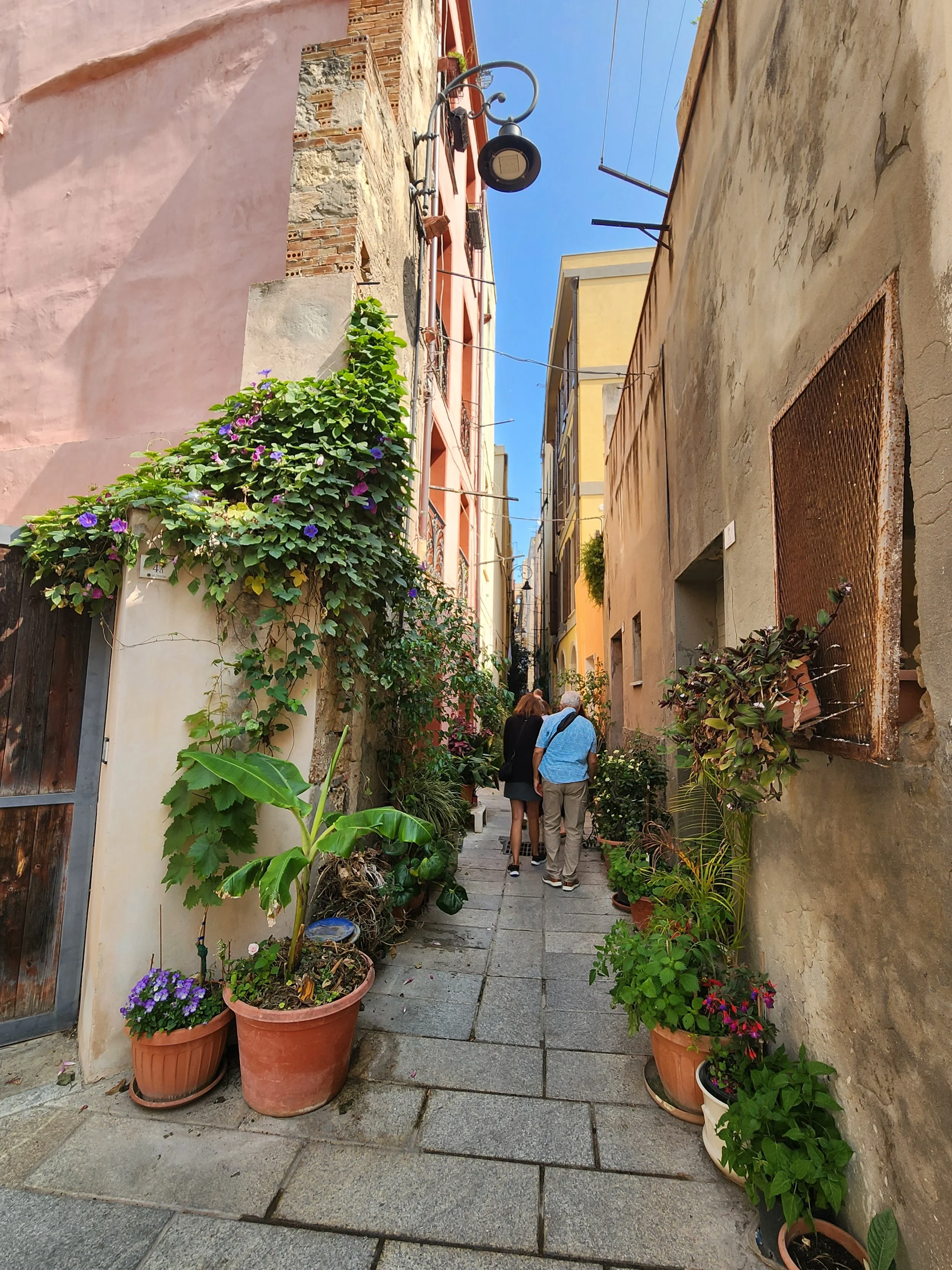 Vico dei Genovesi