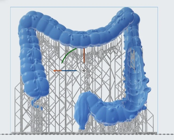3d settings.jpg