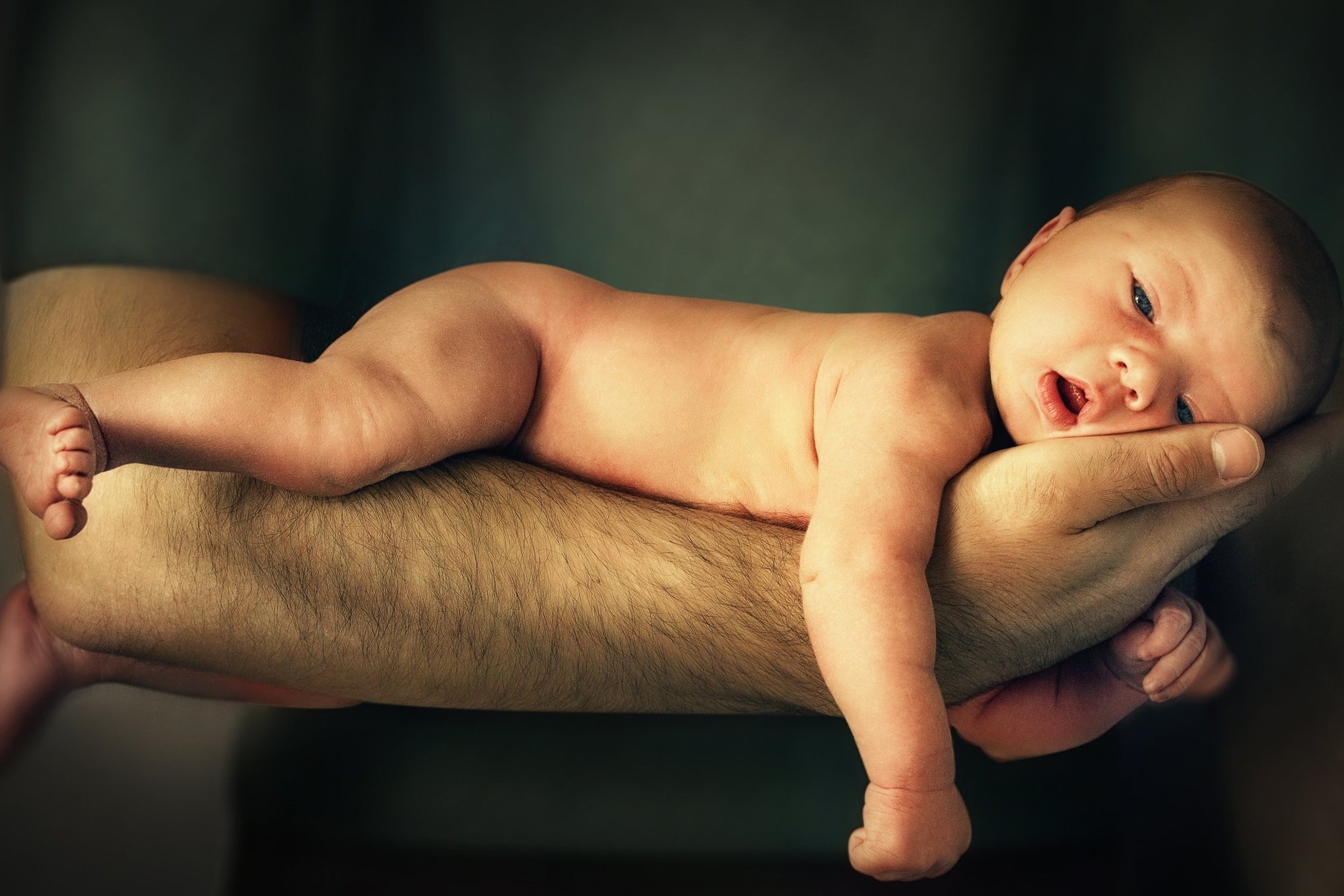 Newborn baby lying across a parent's forearm during skin-to-skin contact, representing the benefits of closeness for feeding and weight gain in the early postpartum days
