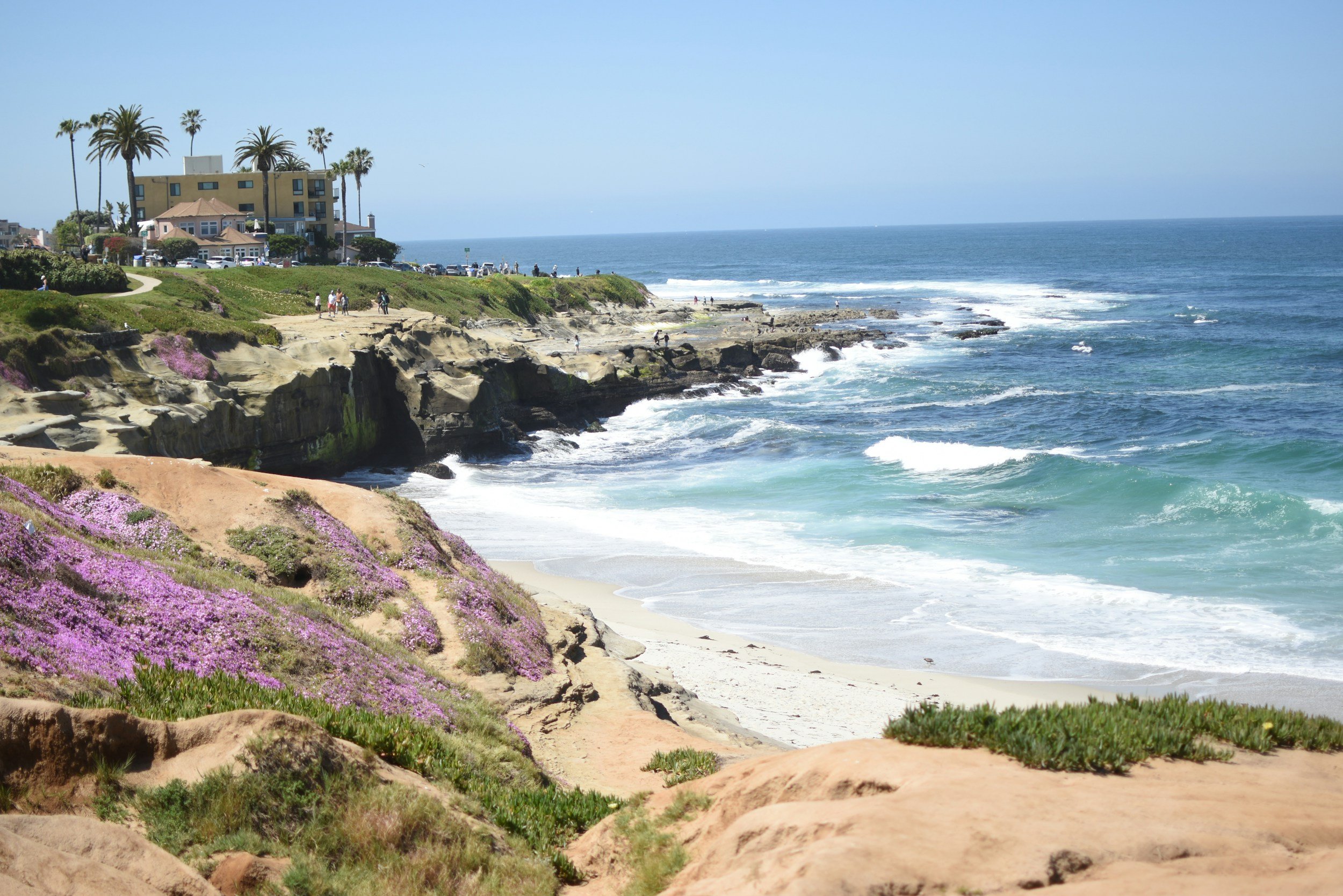 Coastal scene with sandy beach, rocky cliffs, surf, and pink flowering plants in the foreground. There are people walking along the cliff edge and a building with palm trees on the hilltop.