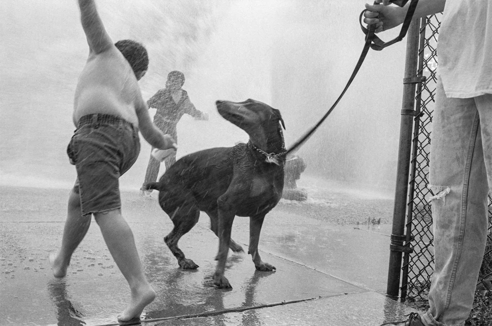 Mark Steinmetz: Chicago