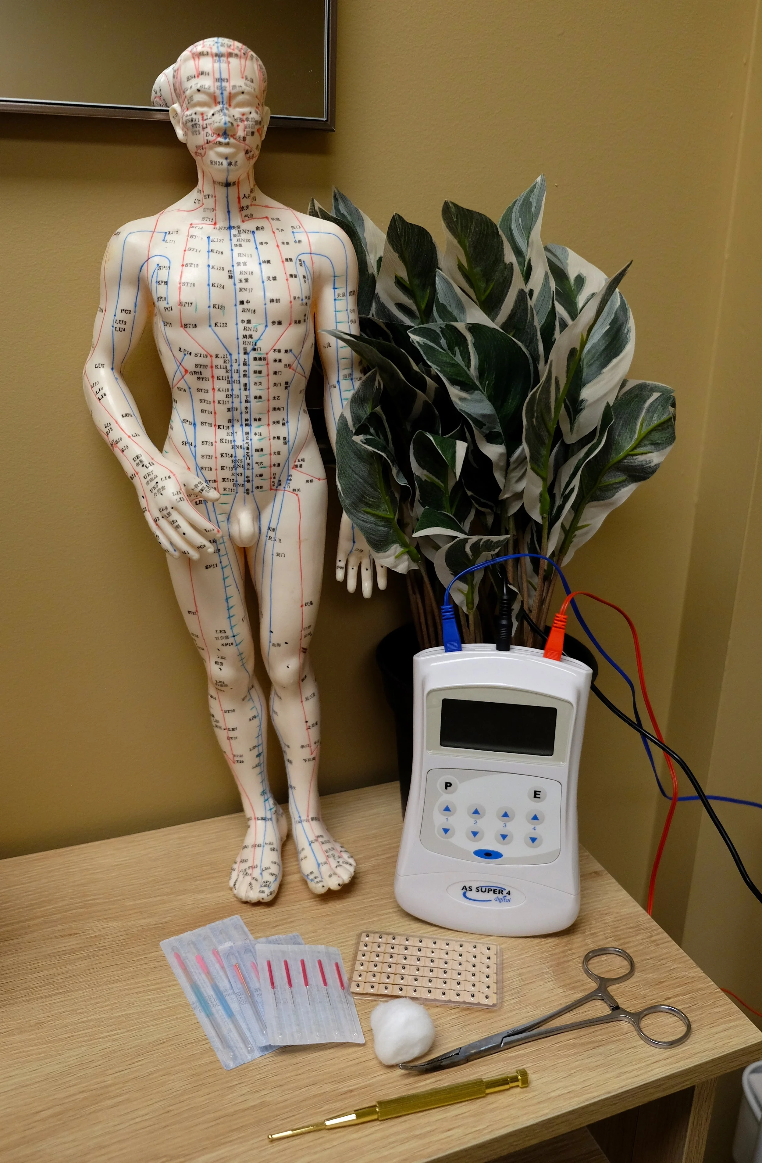 Dry Needling vs. Anatomical Acupuncture: What's the Difference?