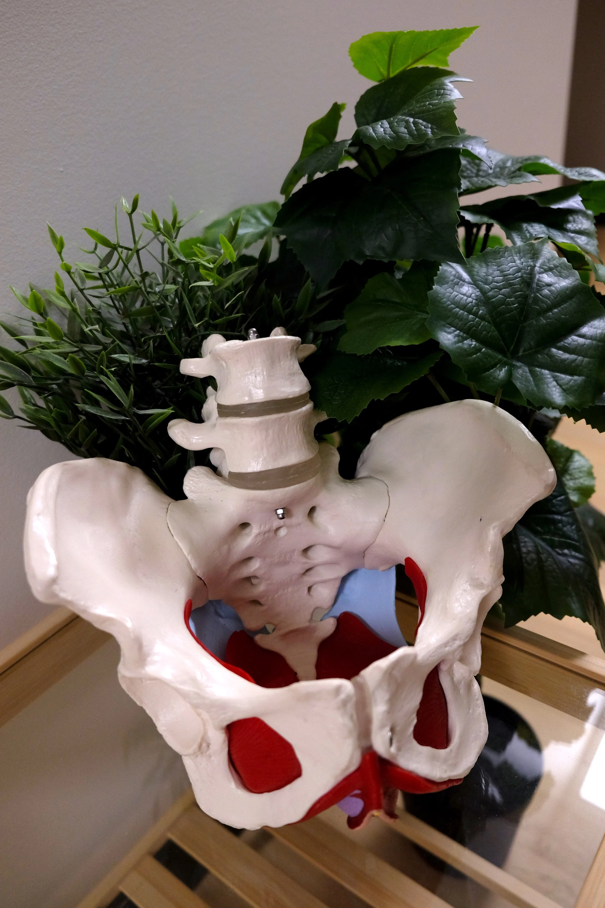 What Is Pelvic Floor Physiotherapy?