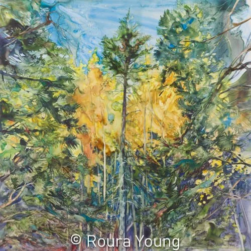 Evergreens and Aspens -
16" x 16" -
Watercolor on Yupo - Available
