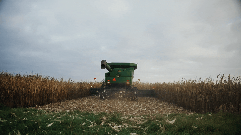 corngif.gif