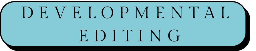 Text reading 'Developmental Editing' in black uppercase letters on a teal rounded rectangle background.
