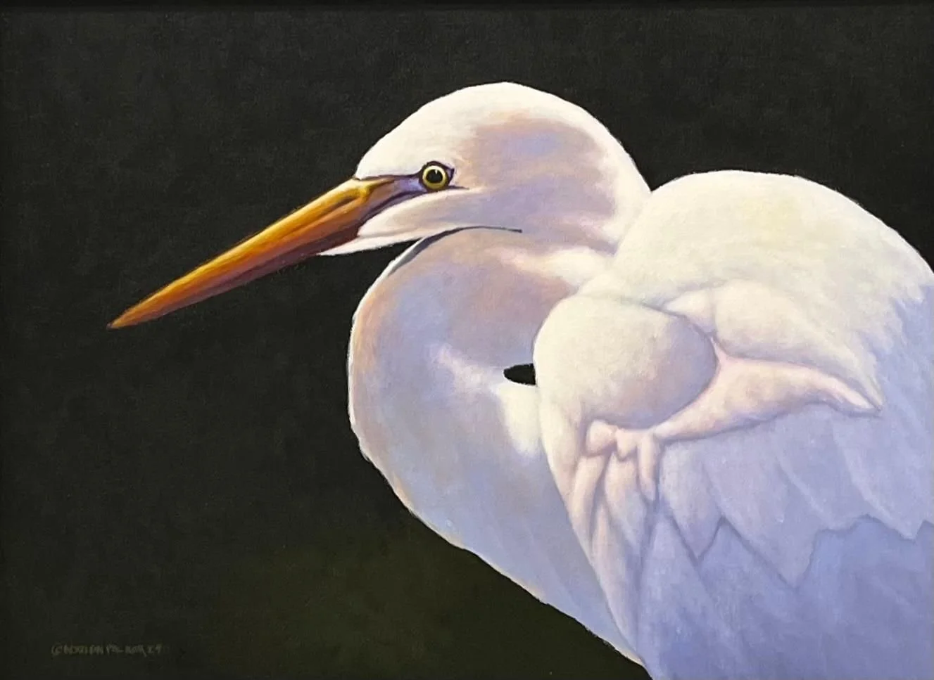 White Heron, 18x24