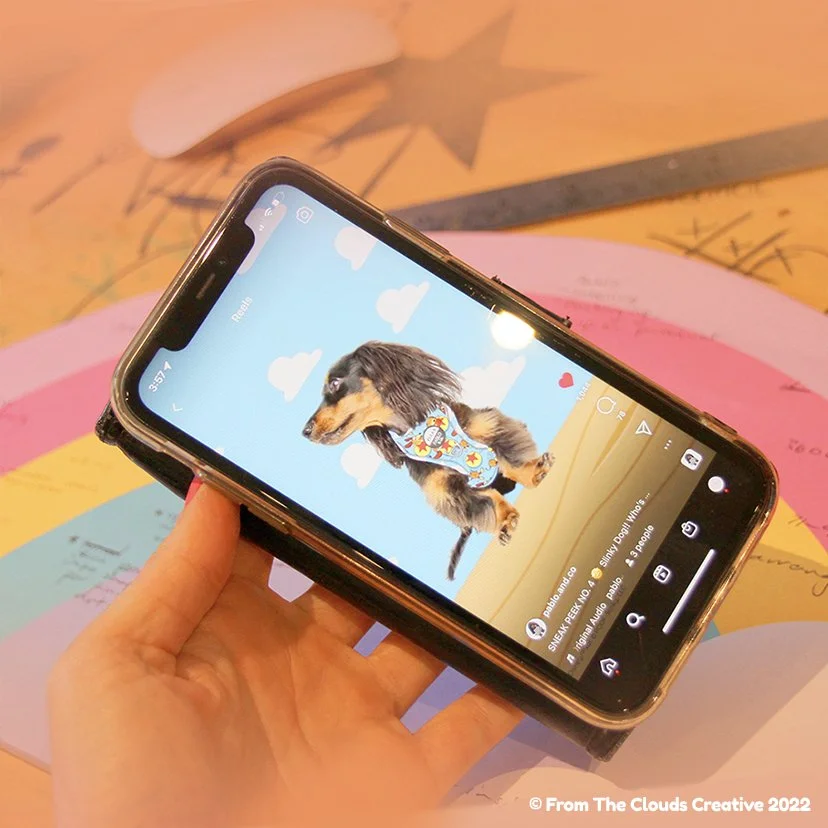 Melbourne graphic design studio marketing branding packaging labelling graphic tee logo Toy Story Pablo & Co Dog Accessories Boutique Quirky