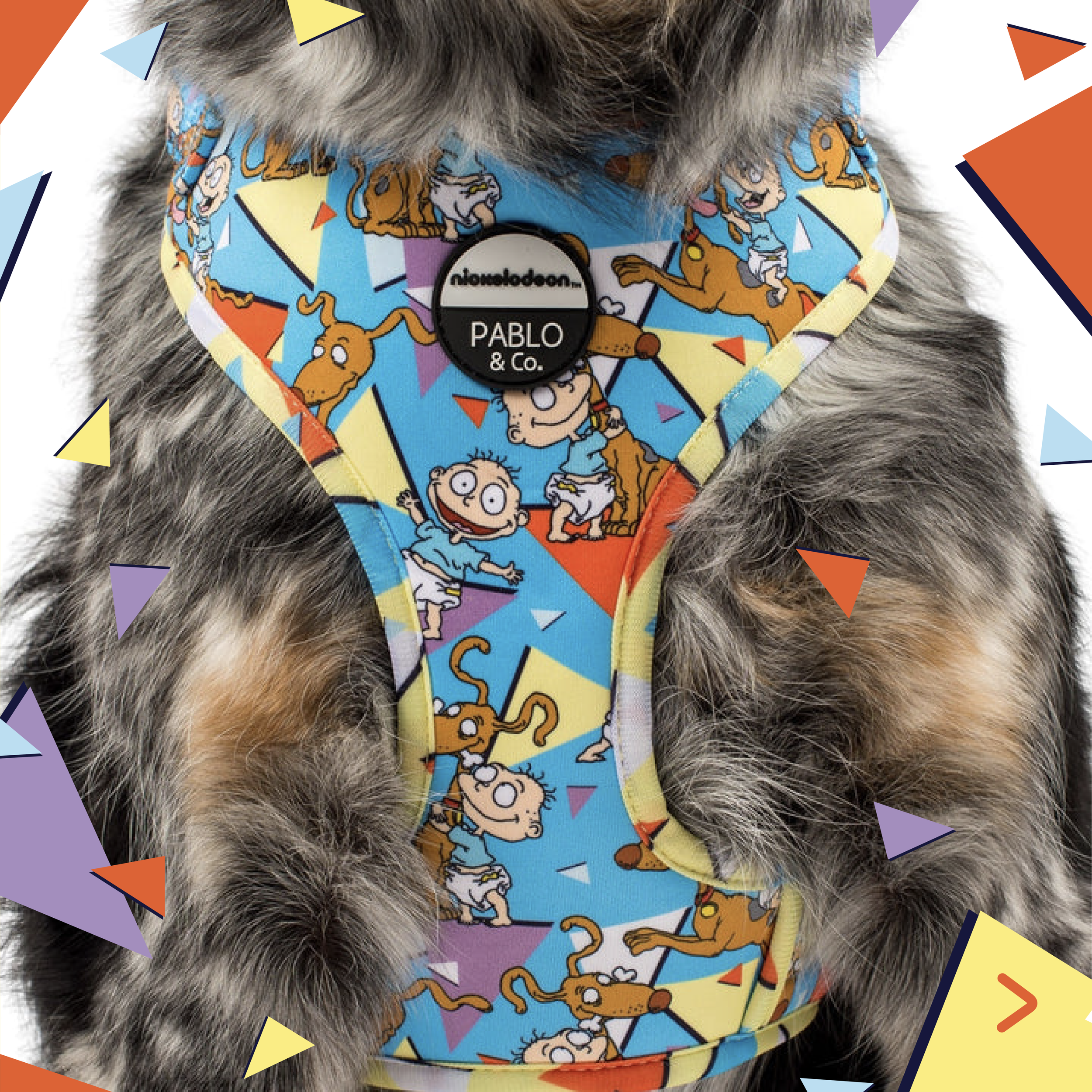 Melbourne Graphic Design Studio Pablo & Co Disney Design Disney Fan Packaging Dog Accessories cat Harness