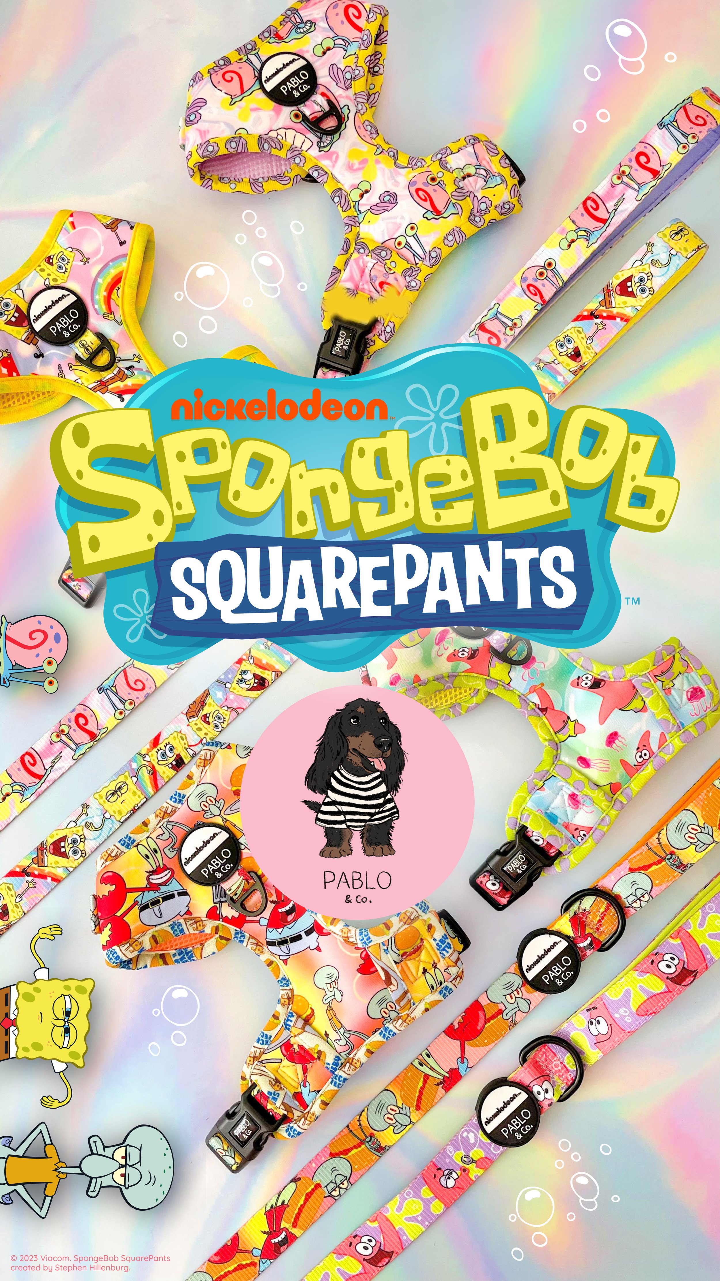 SPONGEBOB_PORTRAIT_FLATLAY.jpg