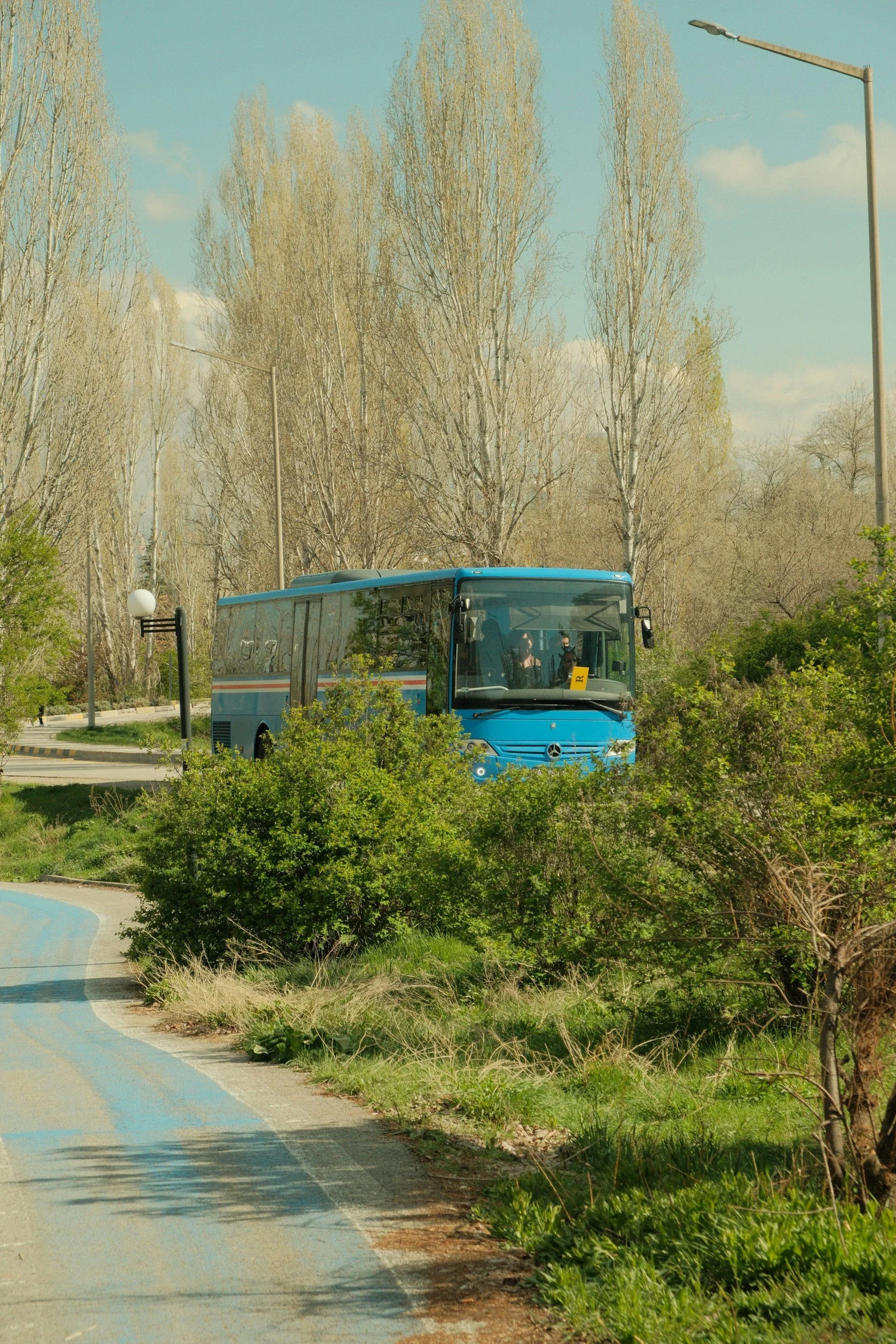 A blue bus traveling along a winding road surrounded by greenery, with tall leafless trees in the background and a clear blue sky.